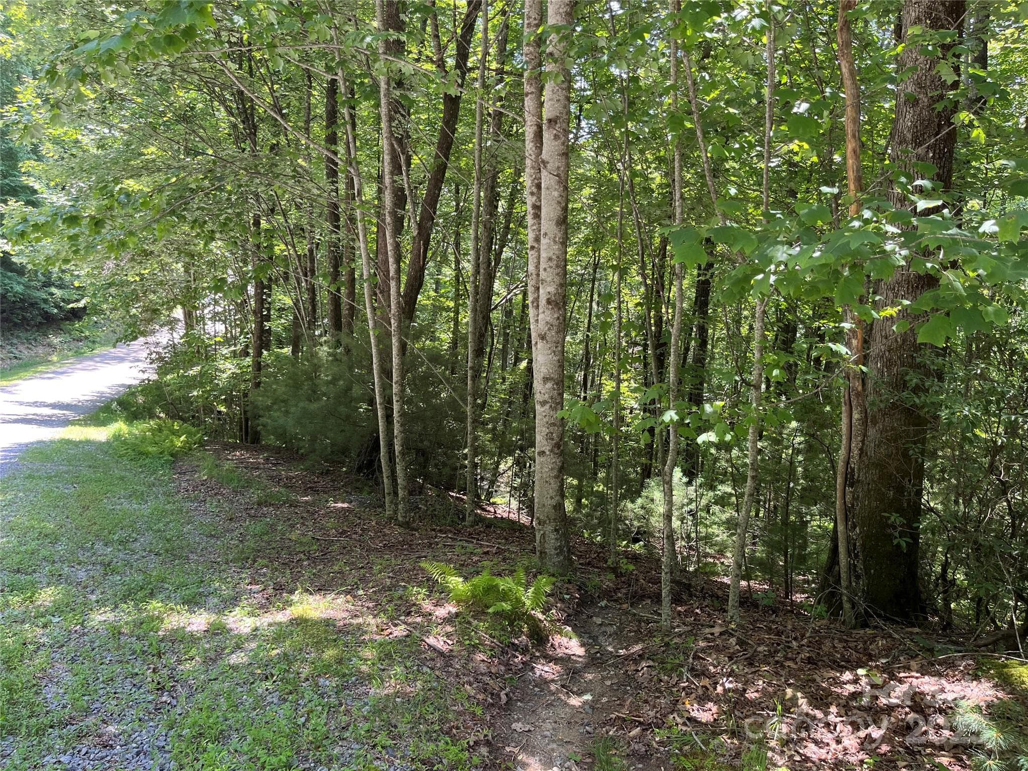 Lot at Brevard, photo 6 of 20