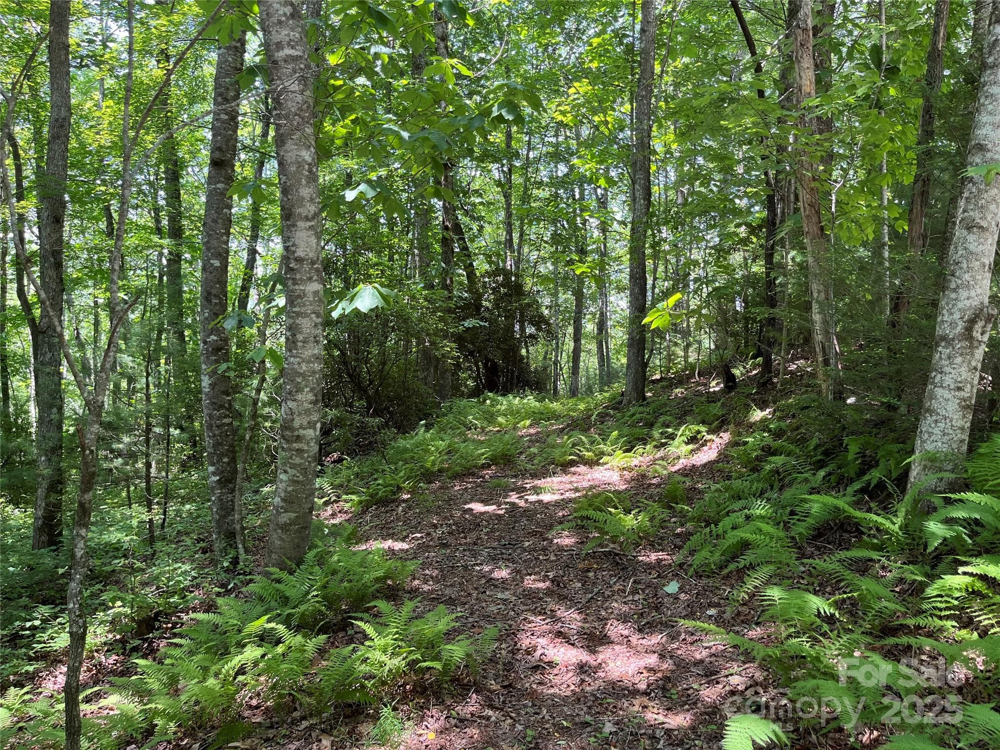 Lot at Brevard, photo 7 of 20