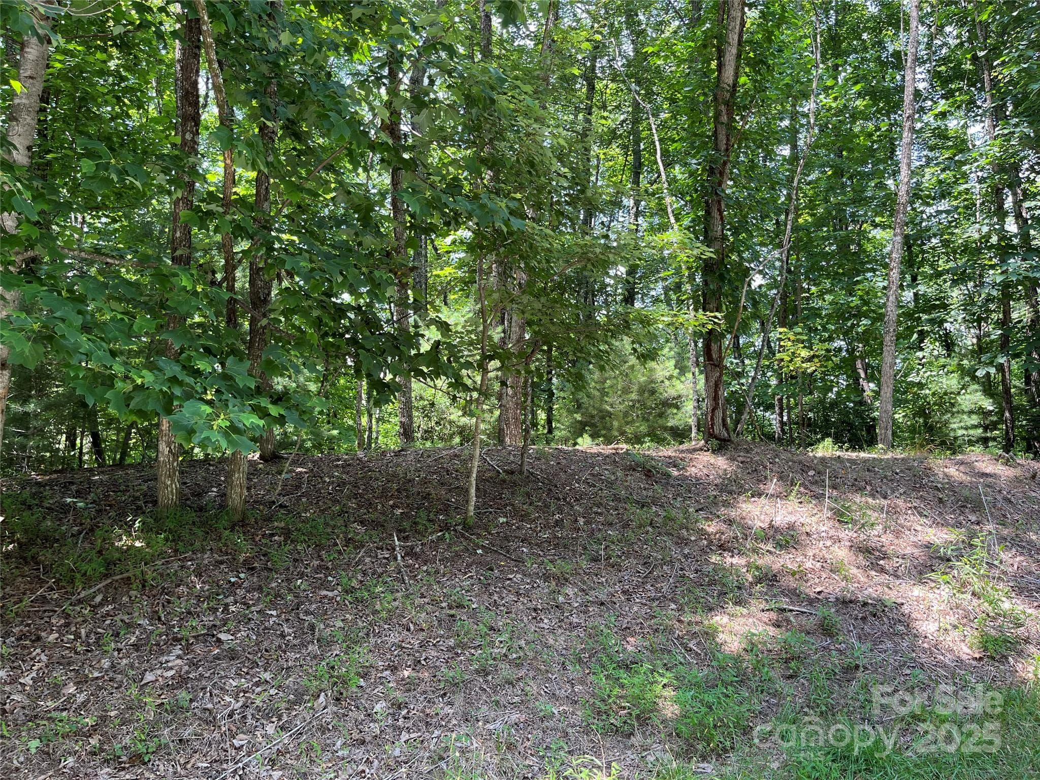 Lot at Brevard, photo 8 of 20