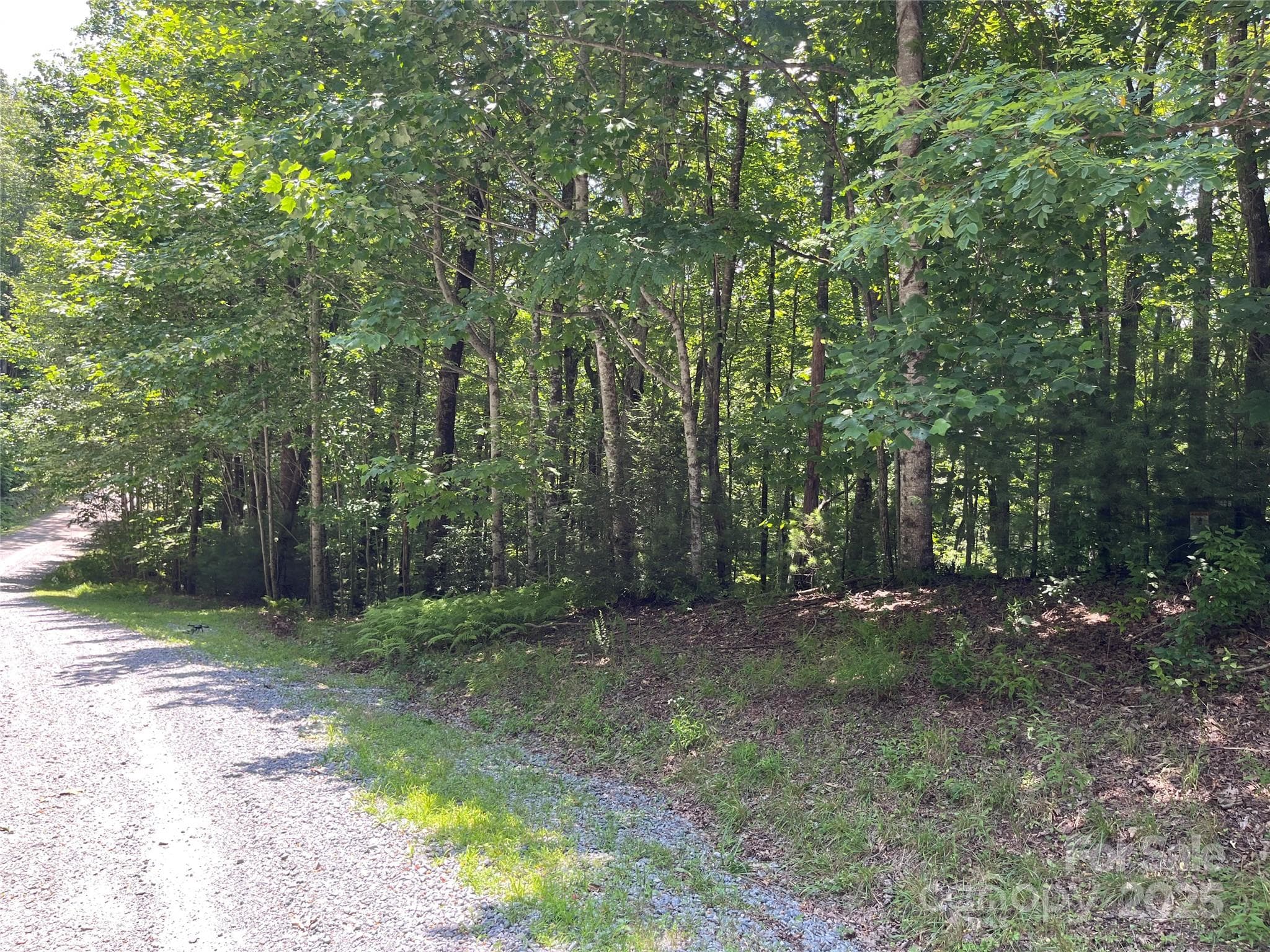 Lot at Brevard, photo 10 of 20