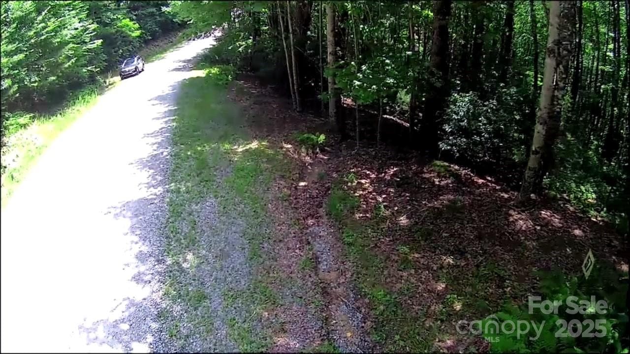 Lot at Brevard, photo 15 of 20