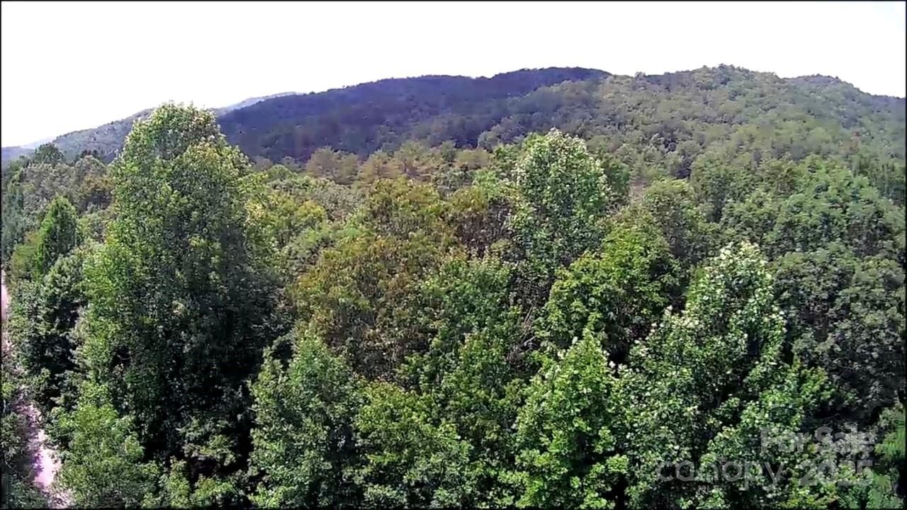 Lot at Brevard, photo 16 of 20