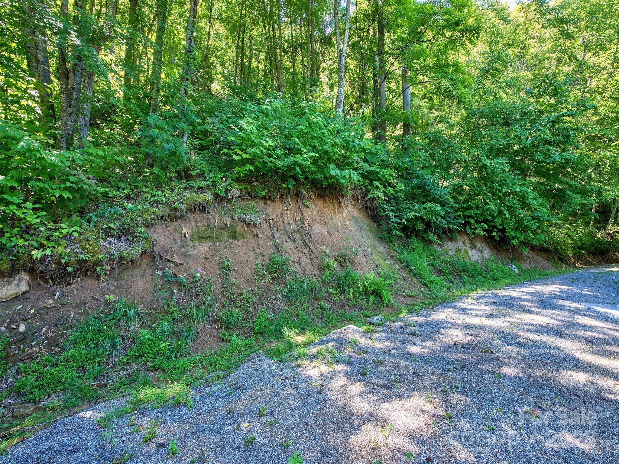 Lot at Waynesville, photo 2 of 16