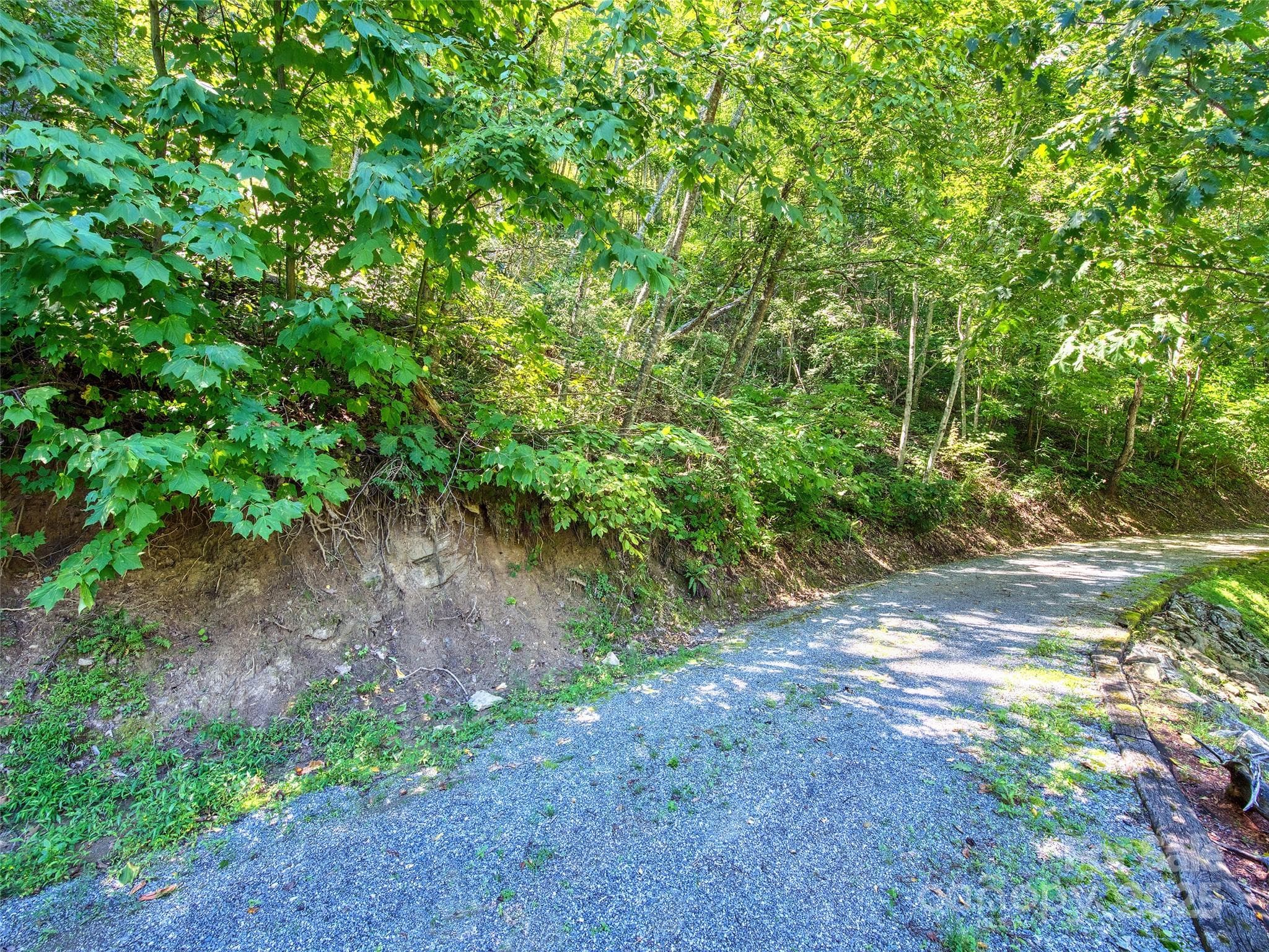 Lot at Waynesville, photo 3 of 16