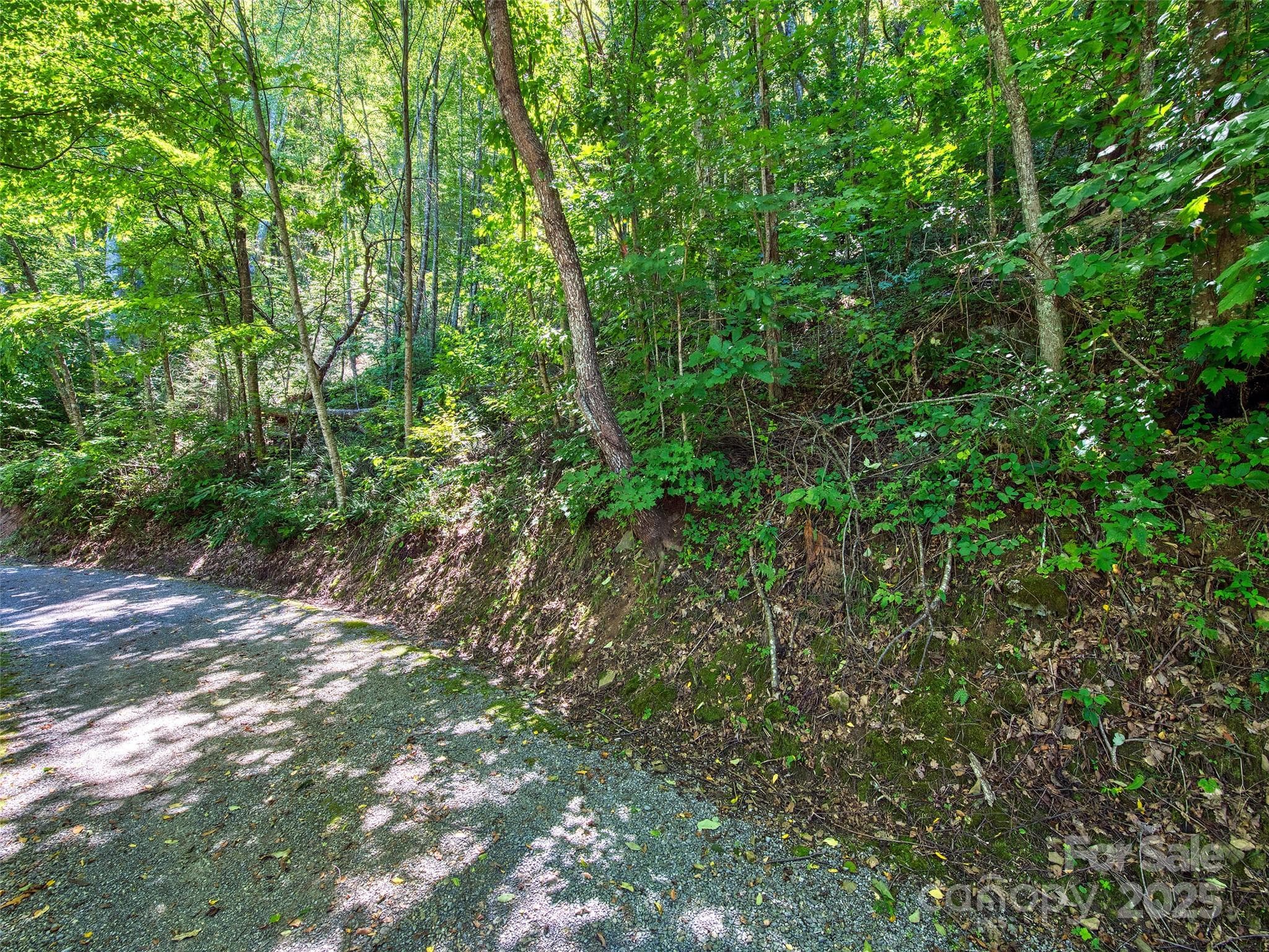 Lot at Waynesville, photo 4 of 16