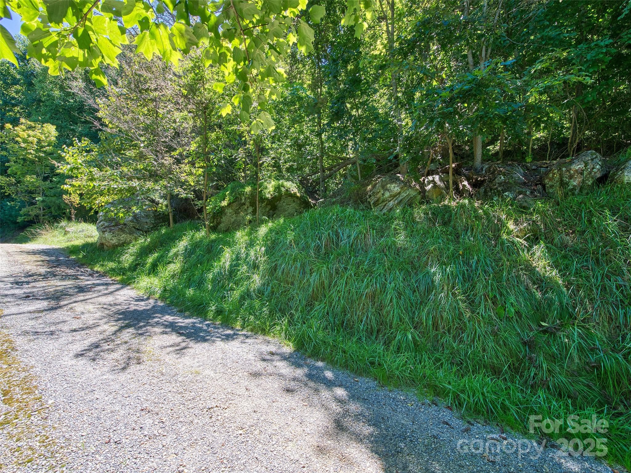 Lot at Waynesville, photo 5 of 16