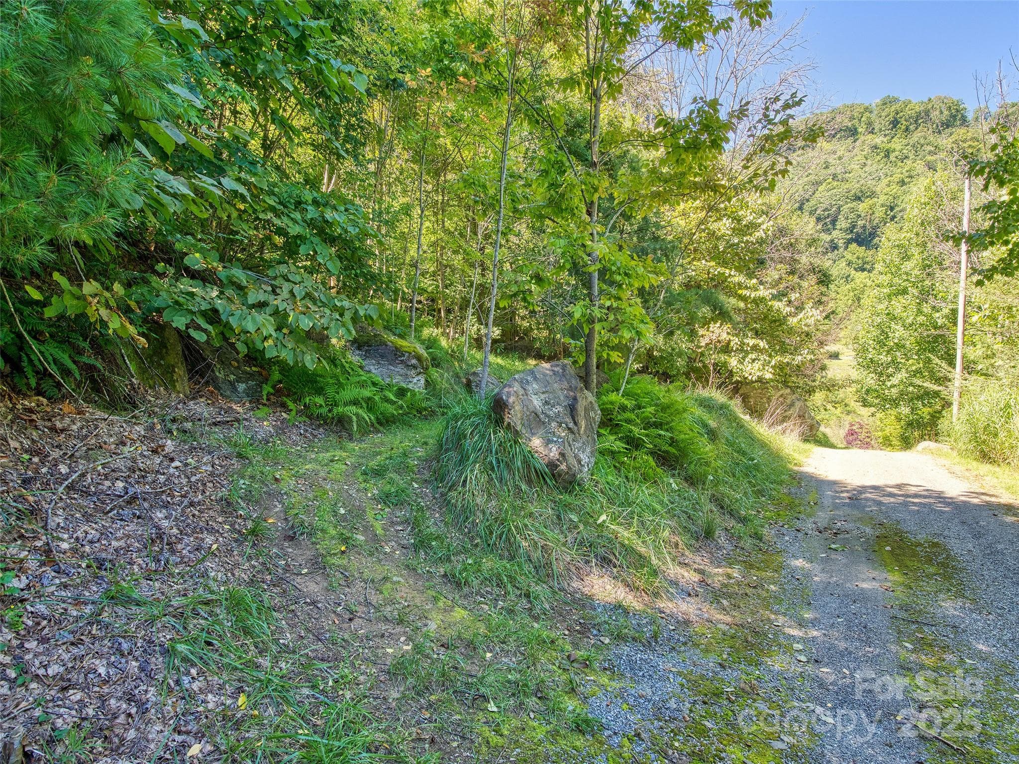 Lot at Waynesville, photo 6 of 16