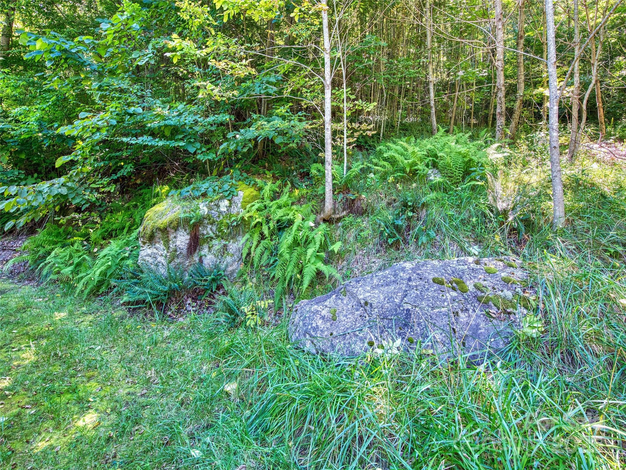 Lot at Waynesville, photo 7 of 16
