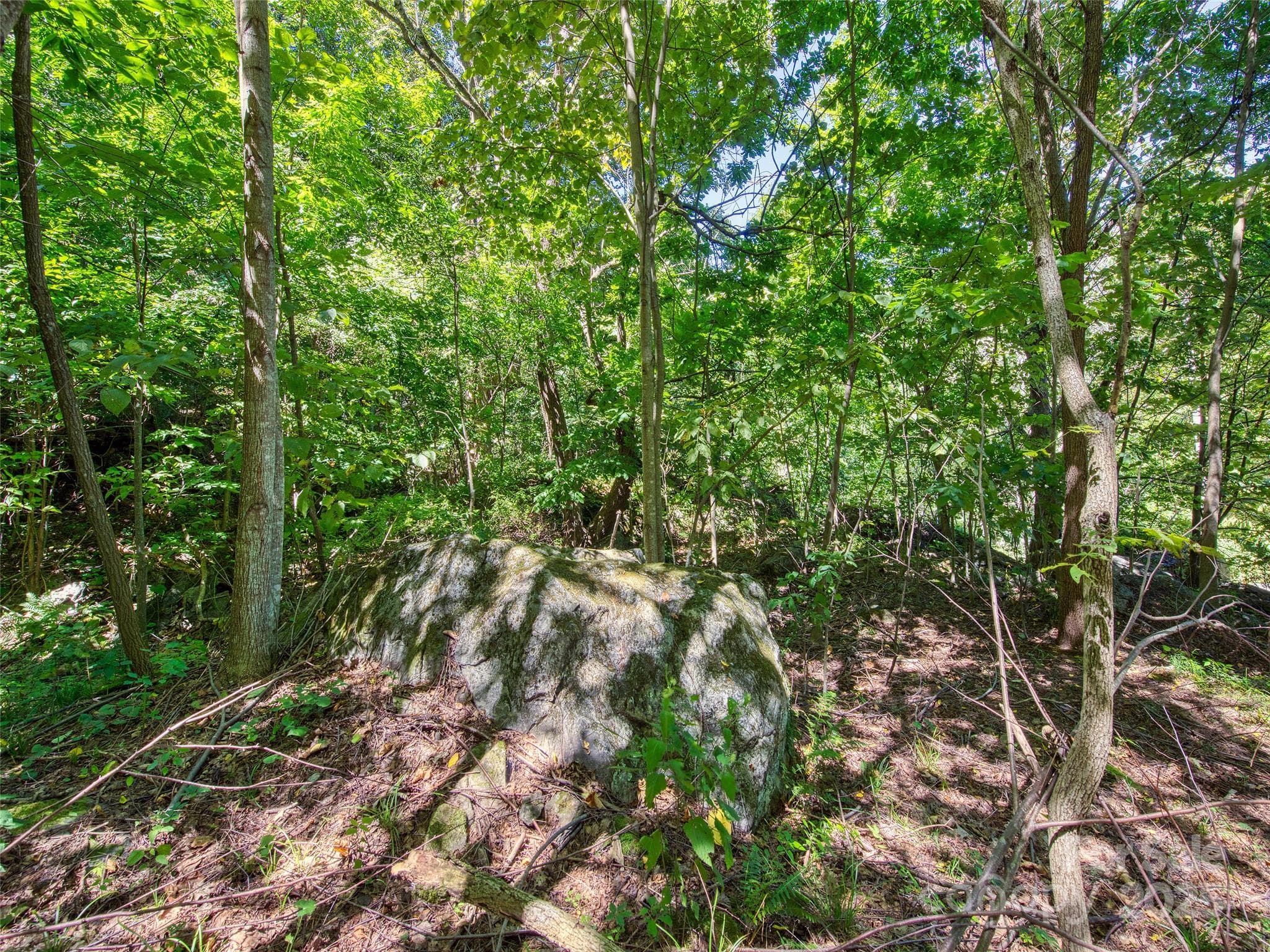 Lot at Waynesville, photo 8 of 16