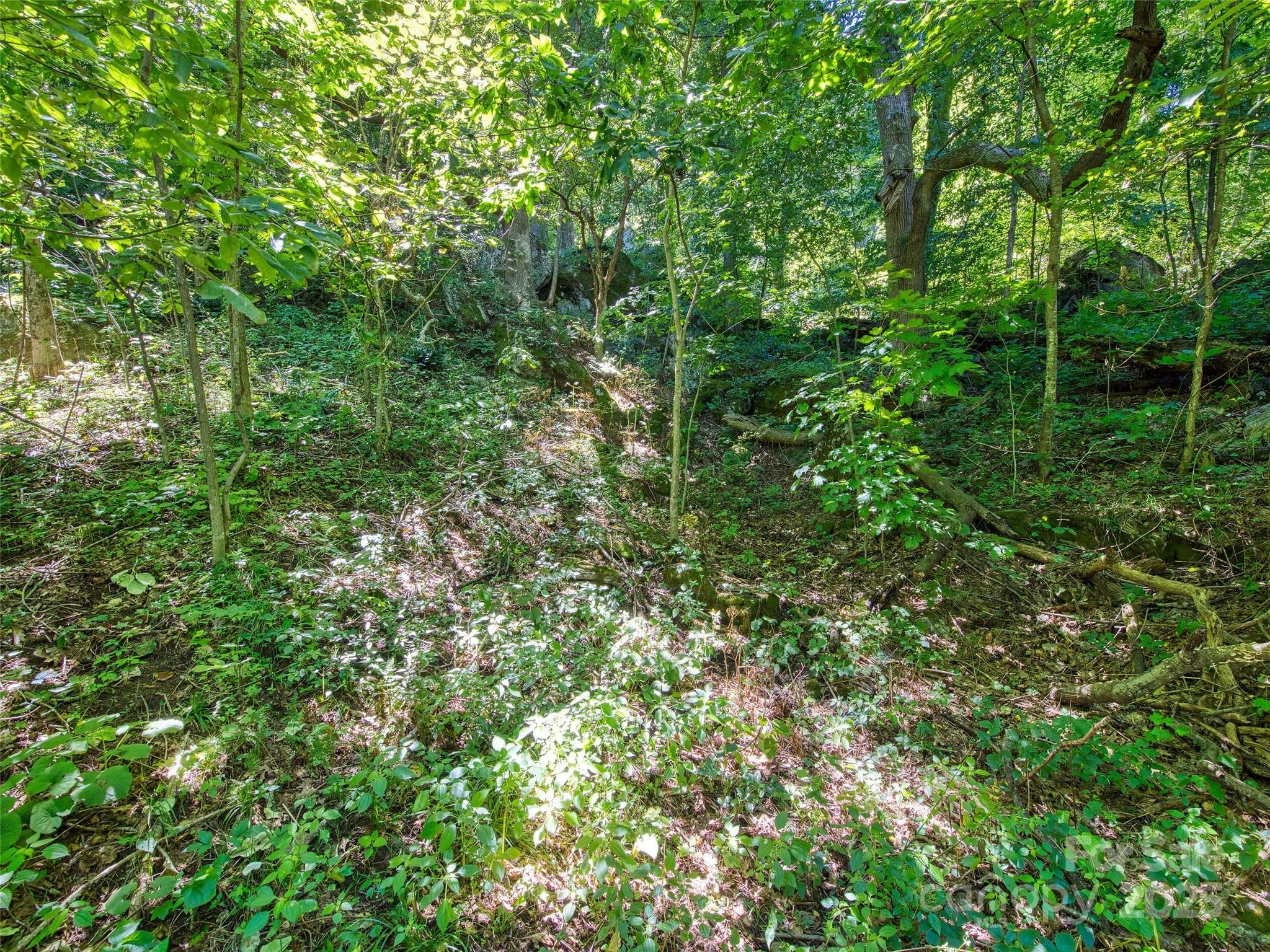 Lot at Waynesville, photo 10 of 16