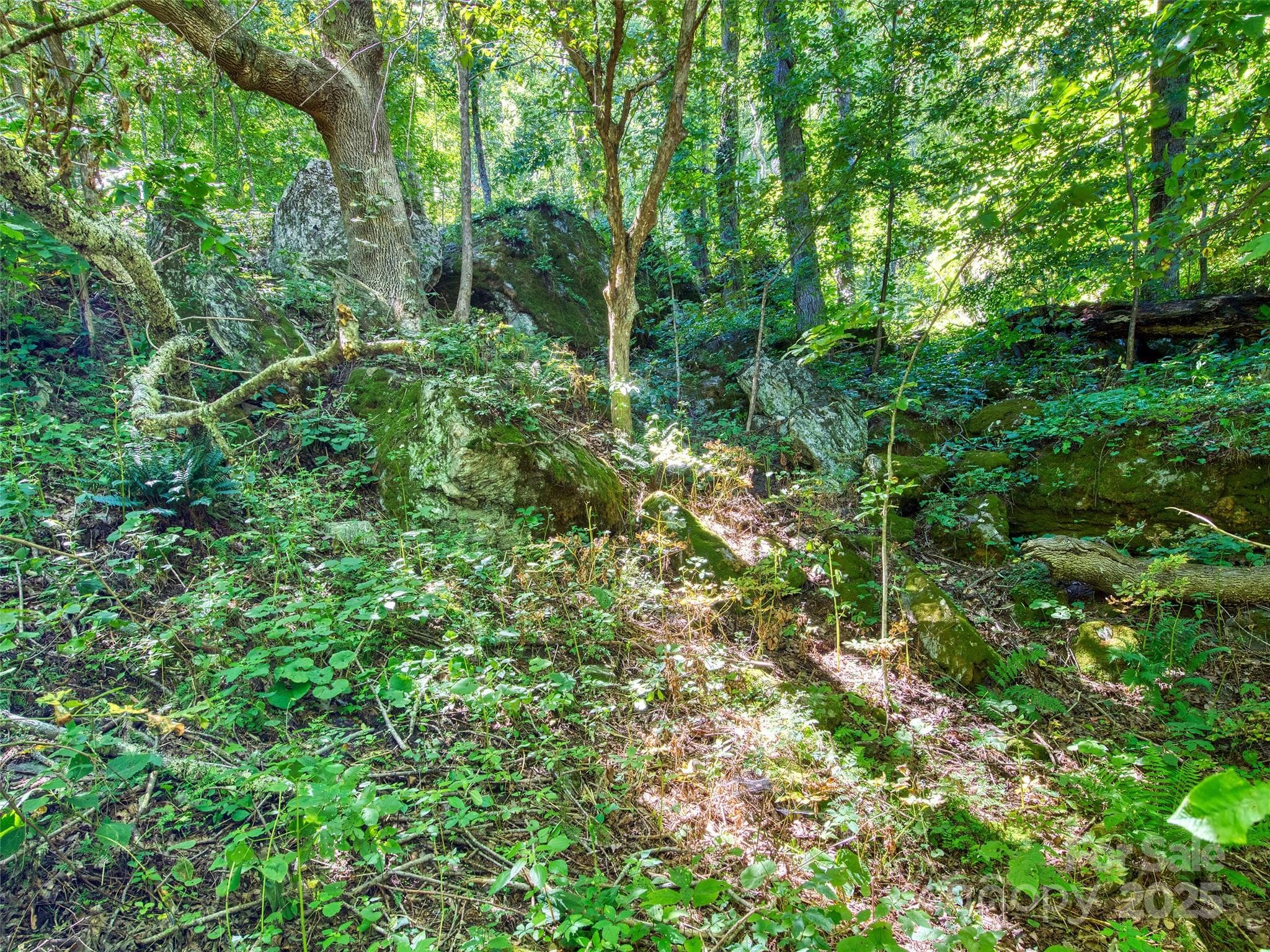 Lot at Waynesville, photo 11 of 16