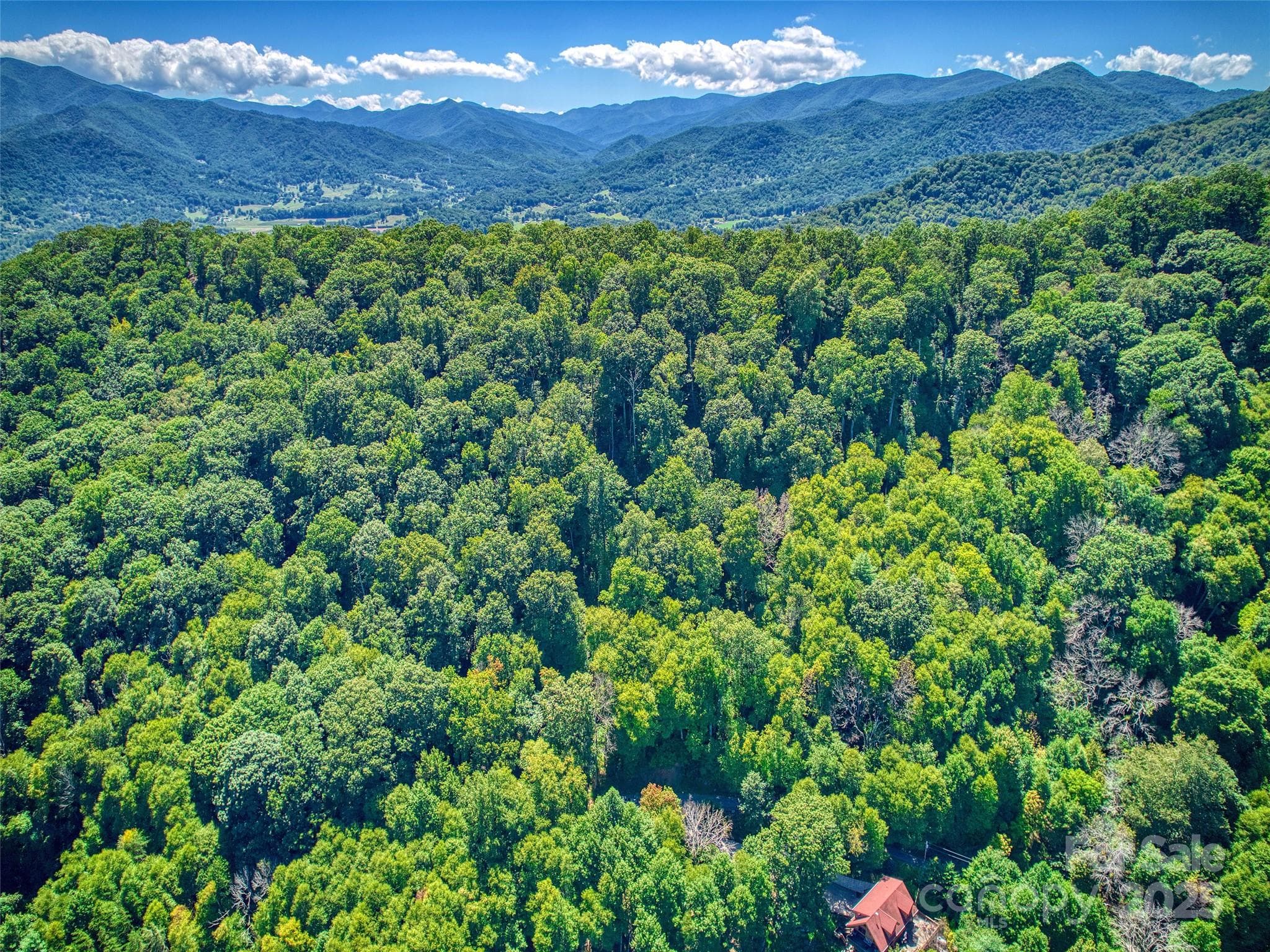 Lot at Waynesville, photo 13 of 16