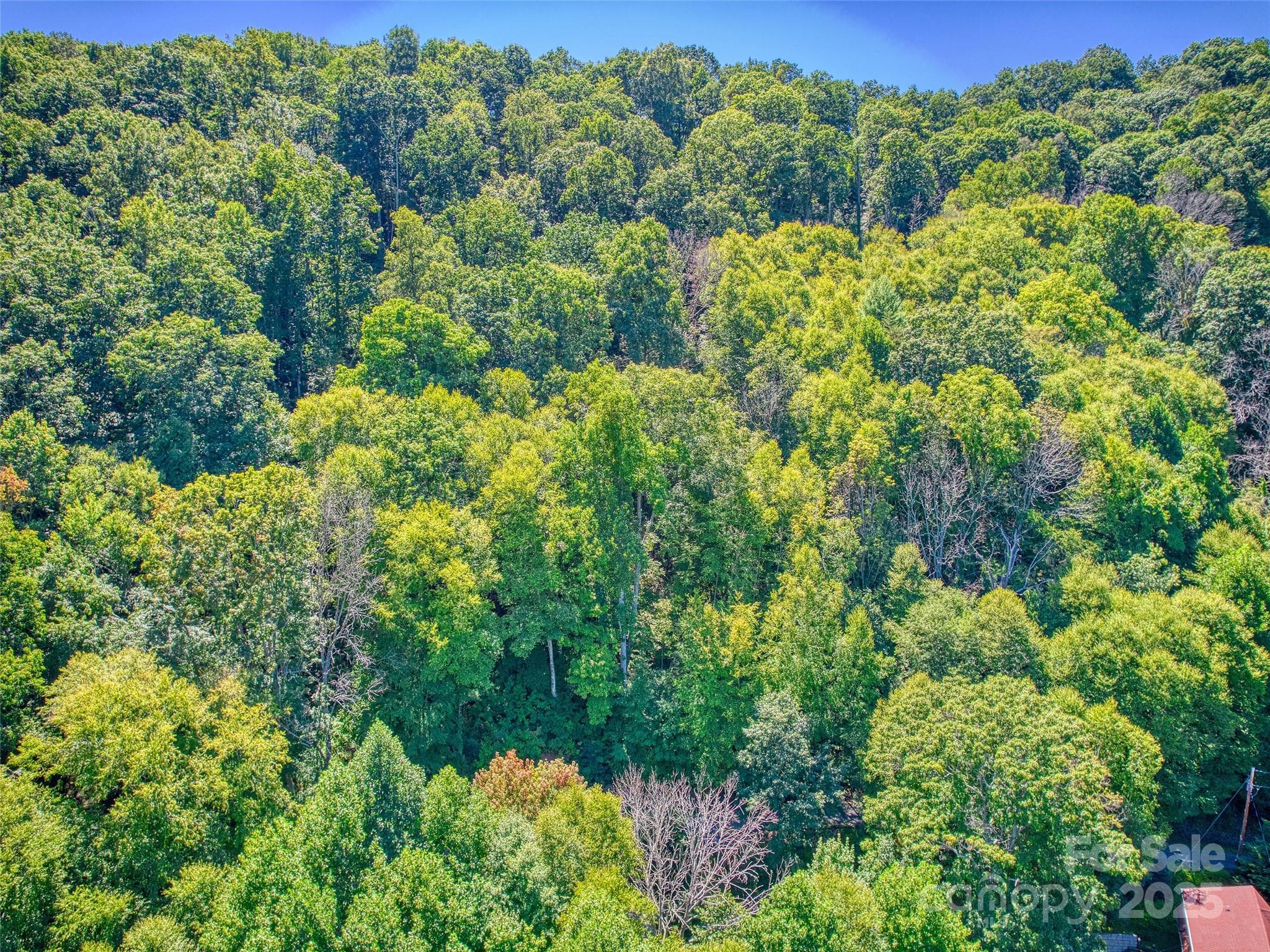 Lot at Waynesville, photo 14 of 16