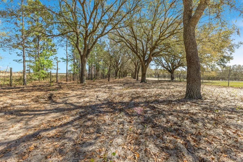 Land at 4649 MEADOWLAND DR, MOUNT DORA, photo 3 of 18