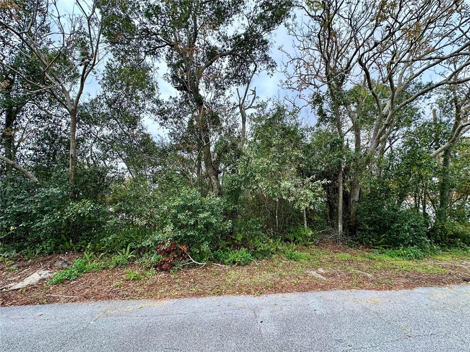 761 ARLENE DR
