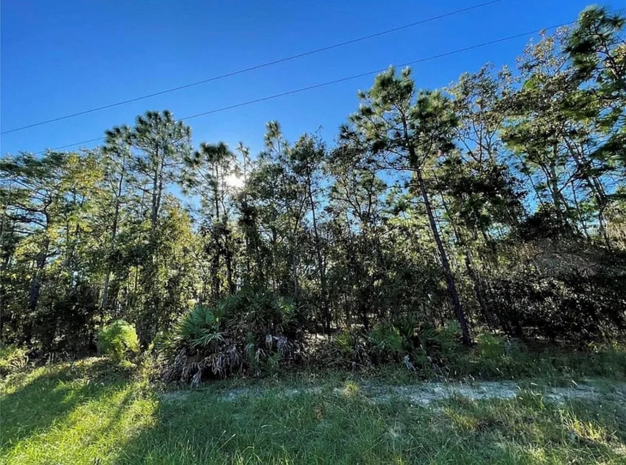 Land at 16 MAYTEN CT N, HOMOSASSA, photo 2 of 15