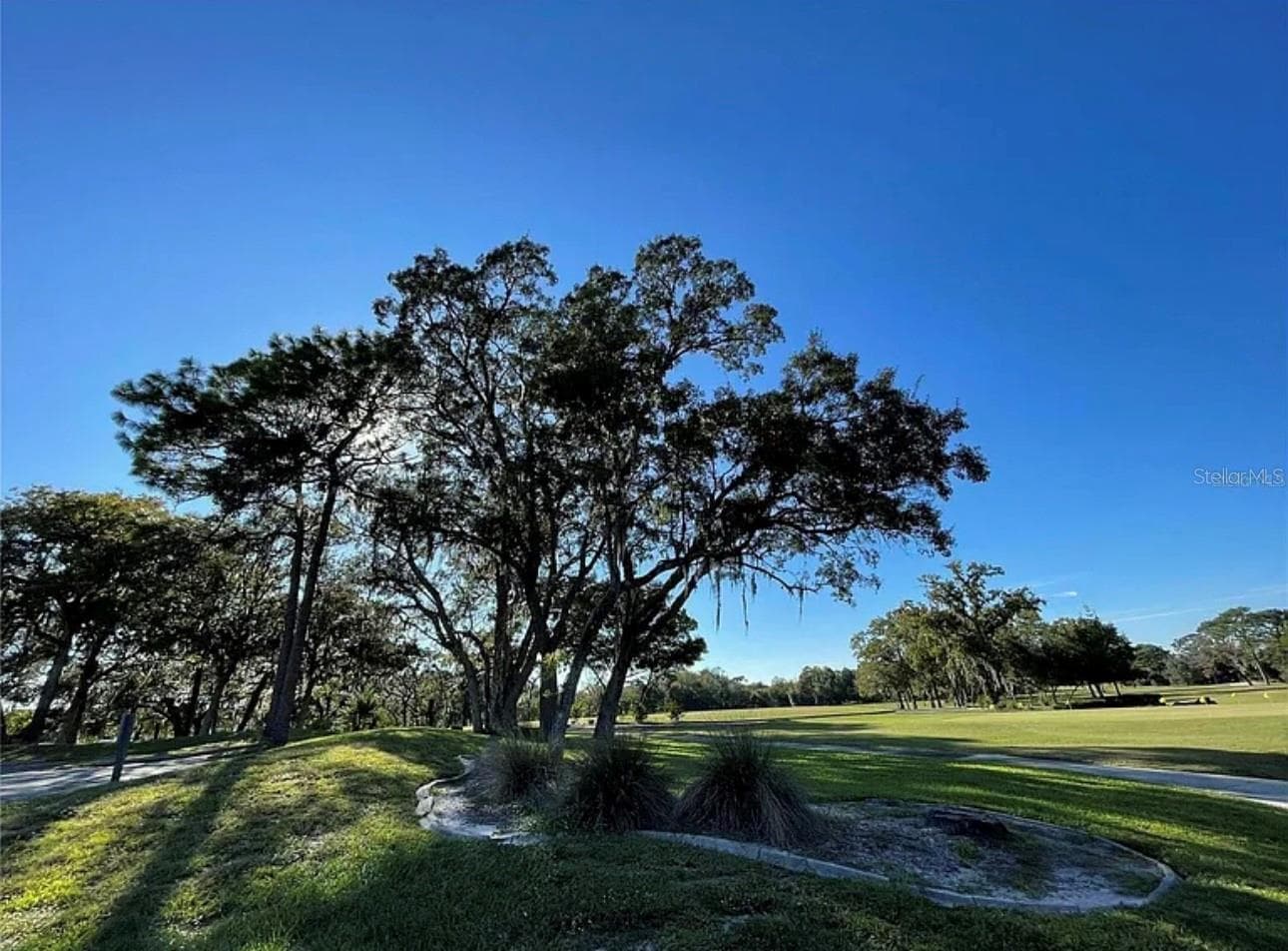Land at 16 MAYTEN CT N, HOMOSASSA, photo 14 of 15