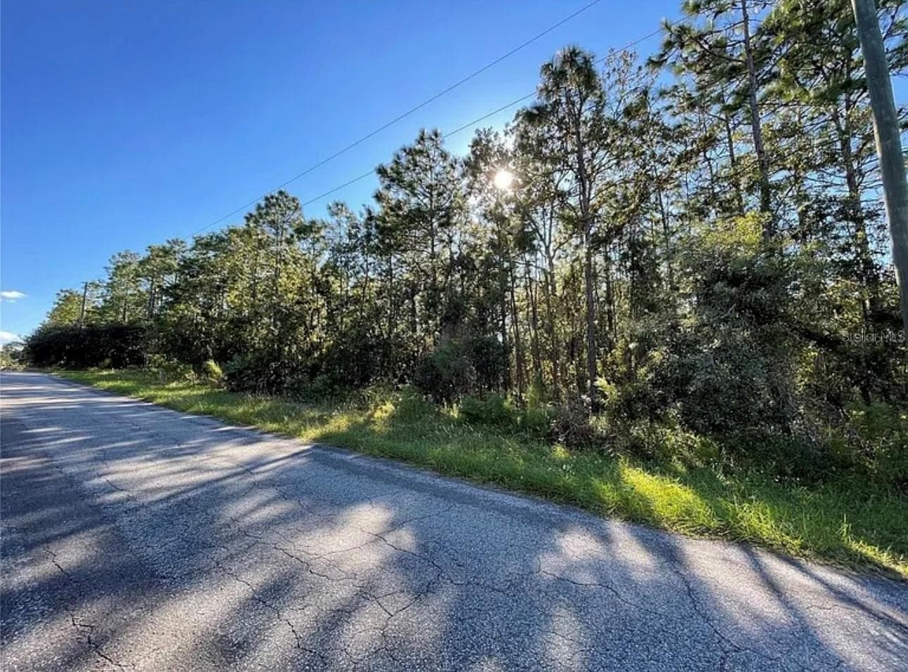 Land at 16 MAYTEN CT N, HOMOSASSA, photo 15 of 15