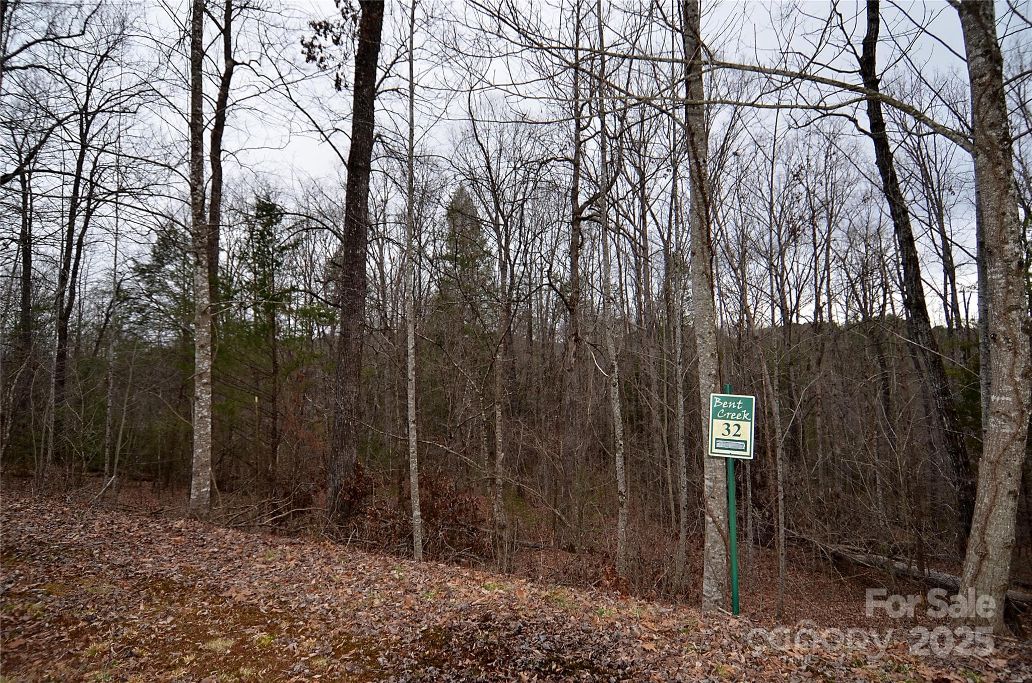 Lot at V/L #32 Bent Creek Drive, Nebo, photo 3 of 7