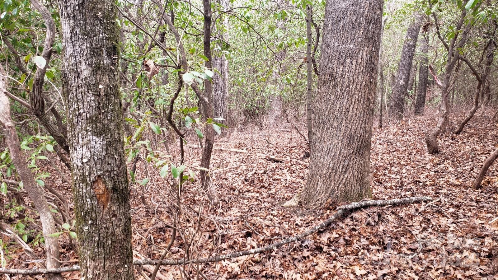 Lot at Brevard, photo 10 of 11