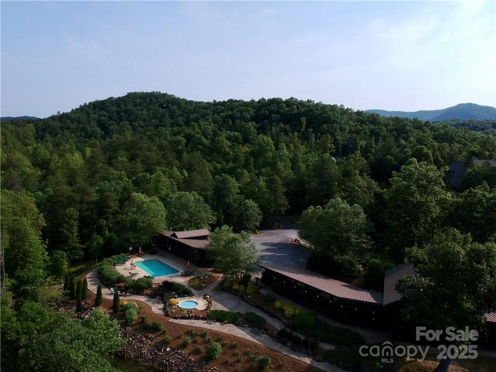 Lot at French Broad Crossing, Marshall, photo 8 of 29