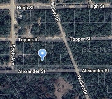 00 ALEXANDER ST