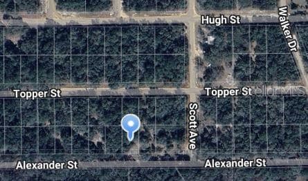 ALEXANDER ST