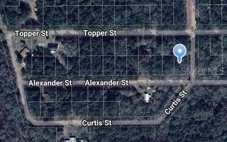 ALEXANDER ST