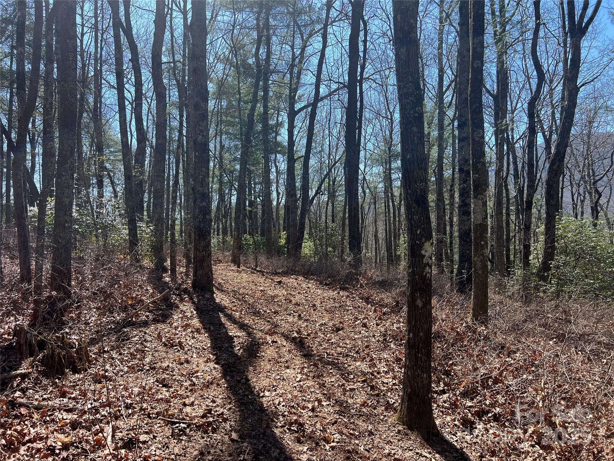Lot at TBD Panther Ridge Road, Lake Toxaway, photo 2 of 15