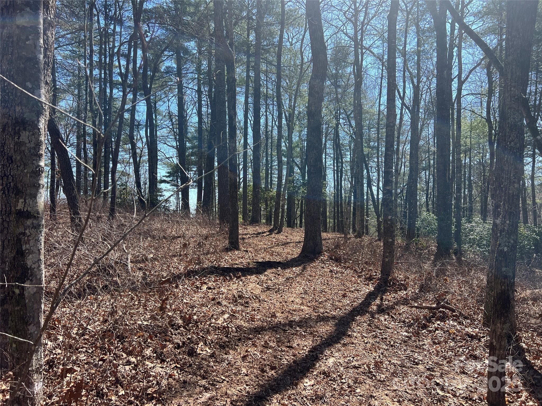 Lot at TBD Panther Ridge Road, Lake Toxaway, photo 4 of 15