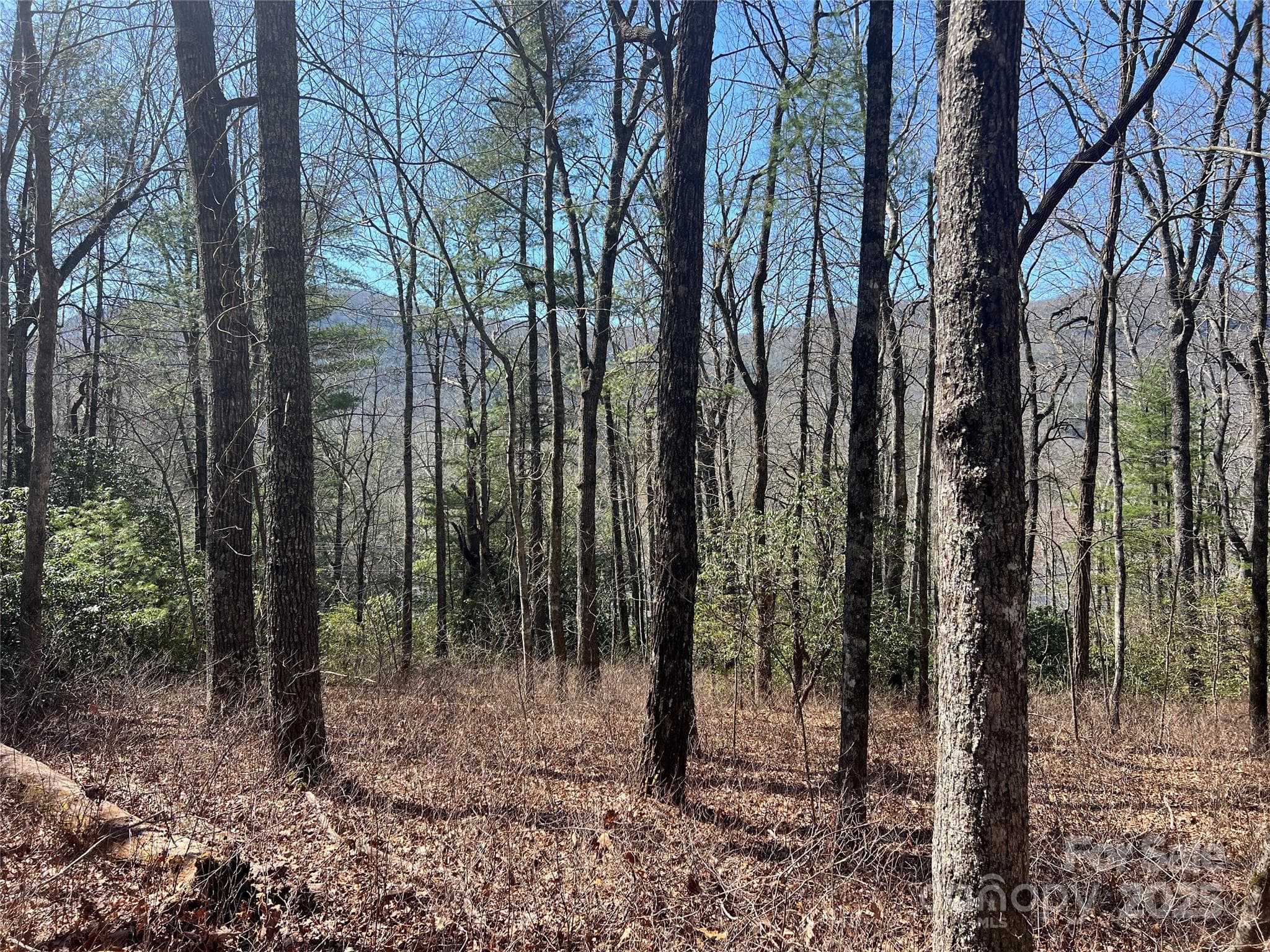 Lot at TBD Panther Ridge Road, Lake Toxaway, photo 5 of 15