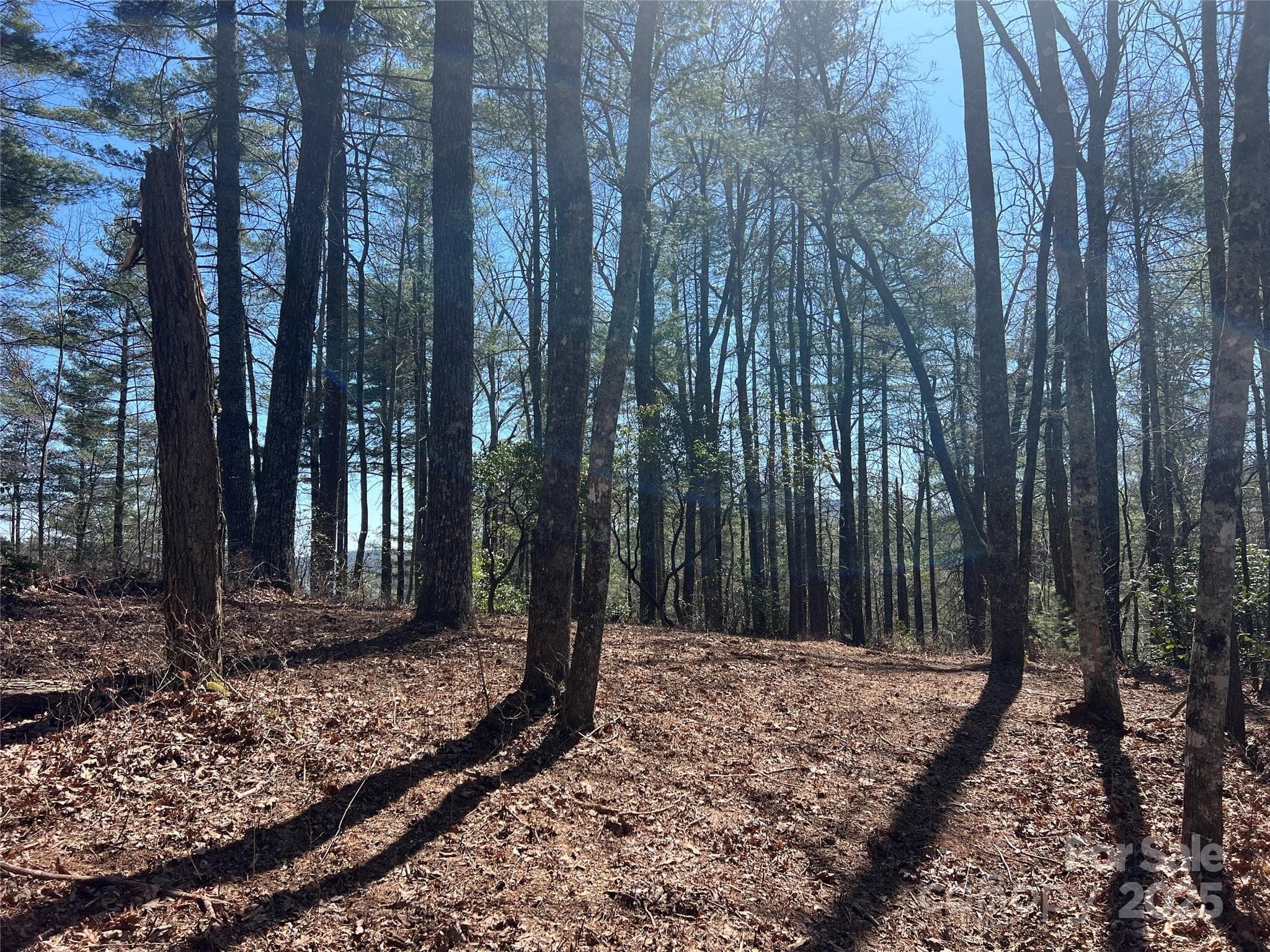 Lot at TBD Panther Ridge Road, Lake Toxaway, photo 6 of 15
