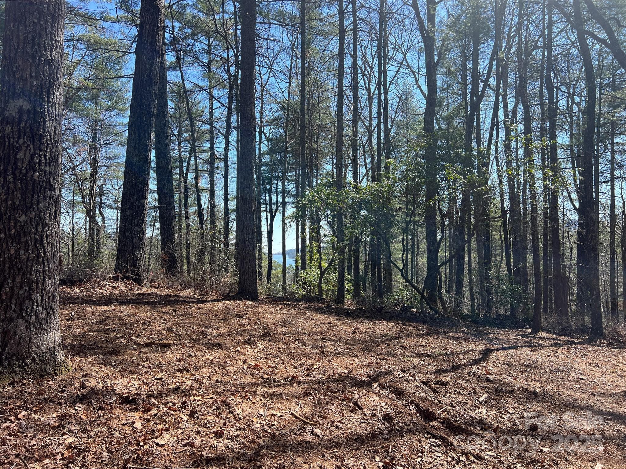 Lot at TBD Panther Ridge Road, Lake Toxaway, photo 7 of 15