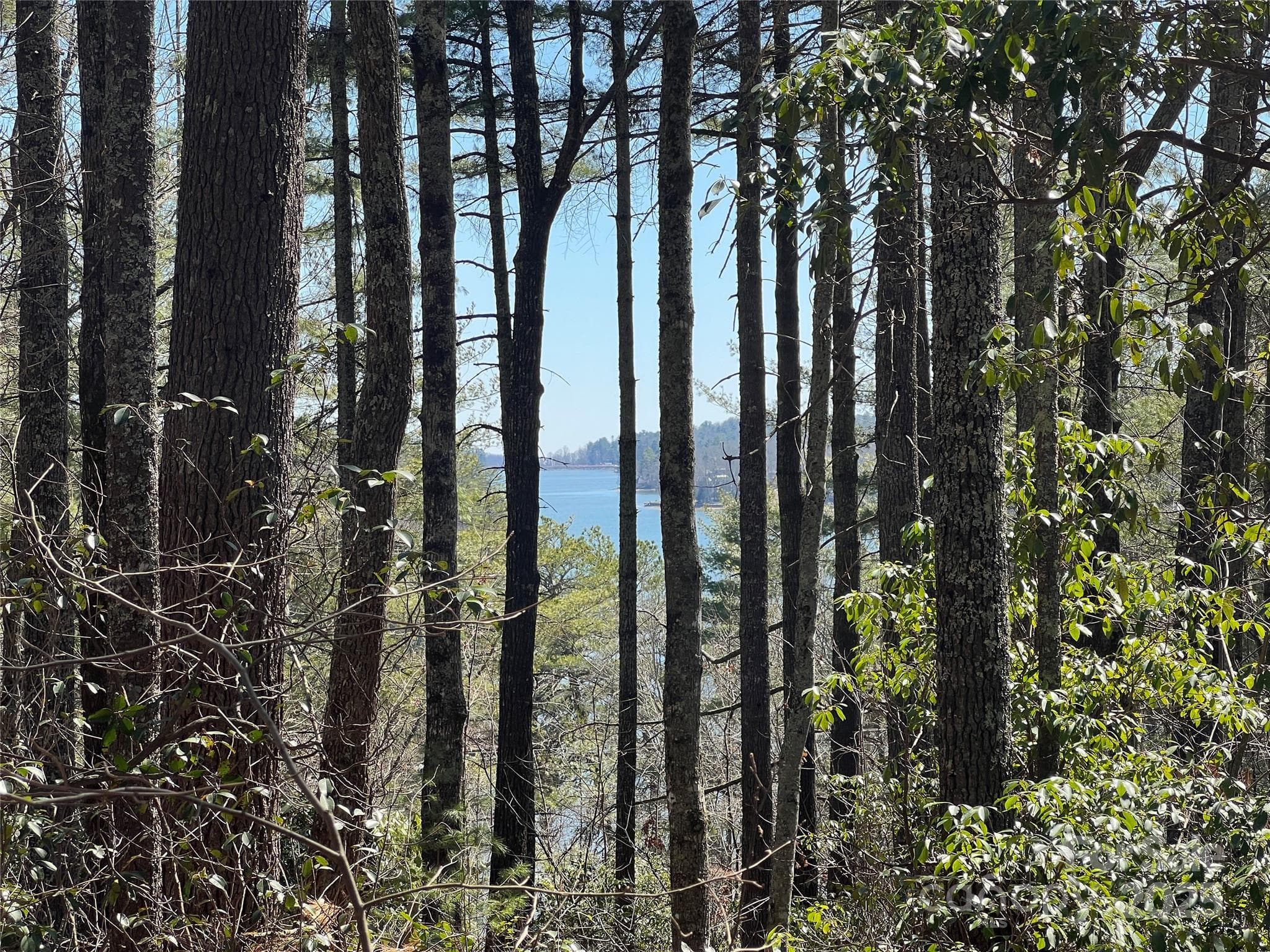 Lot at TBD Panther Ridge Road, Lake Toxaway, photo 9 of 15