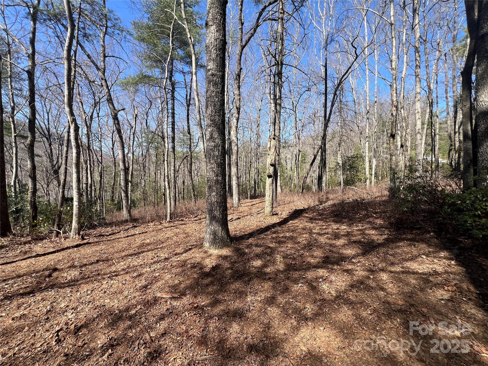 Lot at TBD Panther Ridge Road, Lake Toxaway, photo 11 of 15