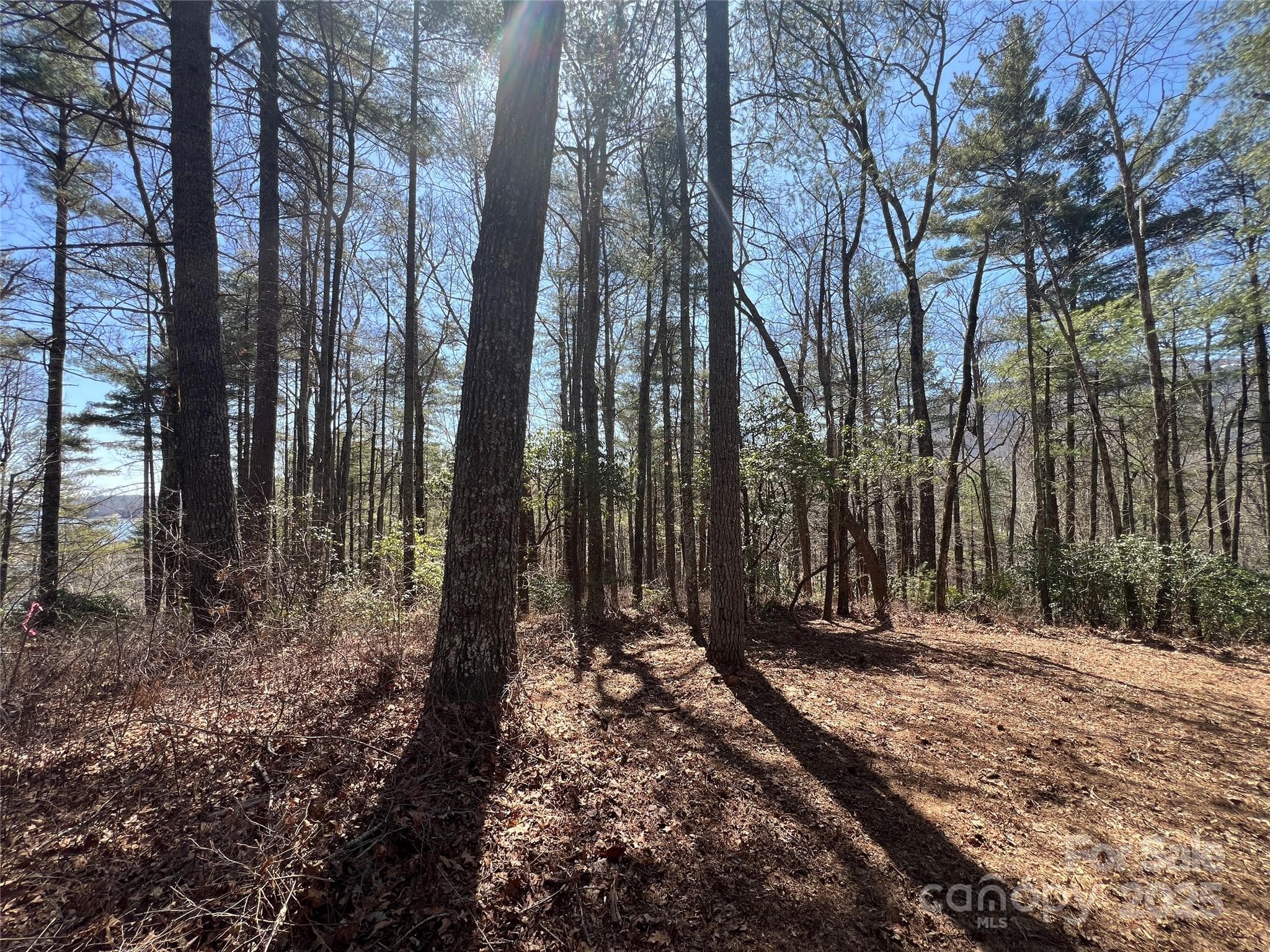 Lot at TBD Panther Ridge Road, Lake Toxaway, photo 12 of 15