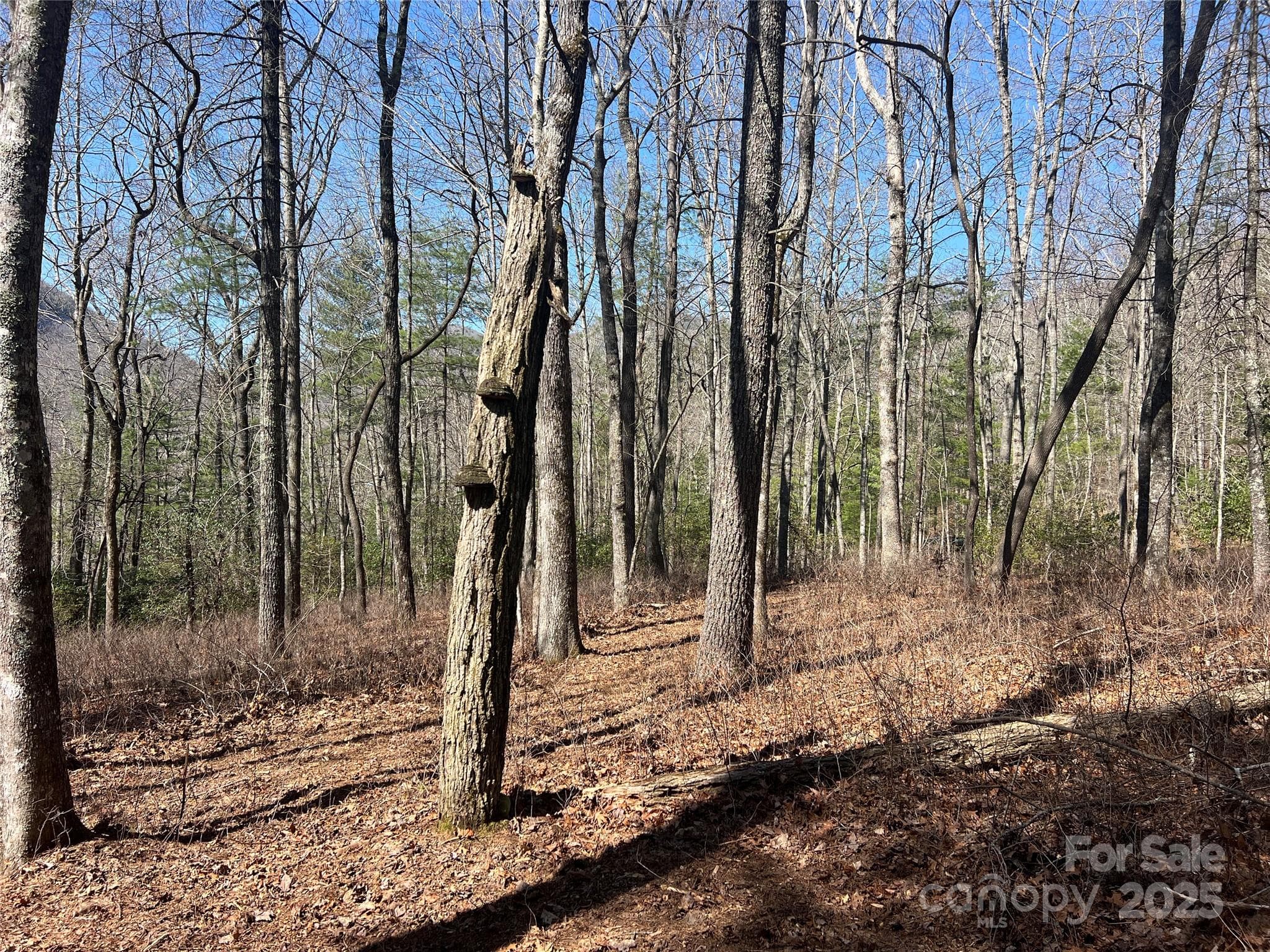 Lot at TBD Panther Ridge Road, Lake Toxaway, photo 13 of 15
