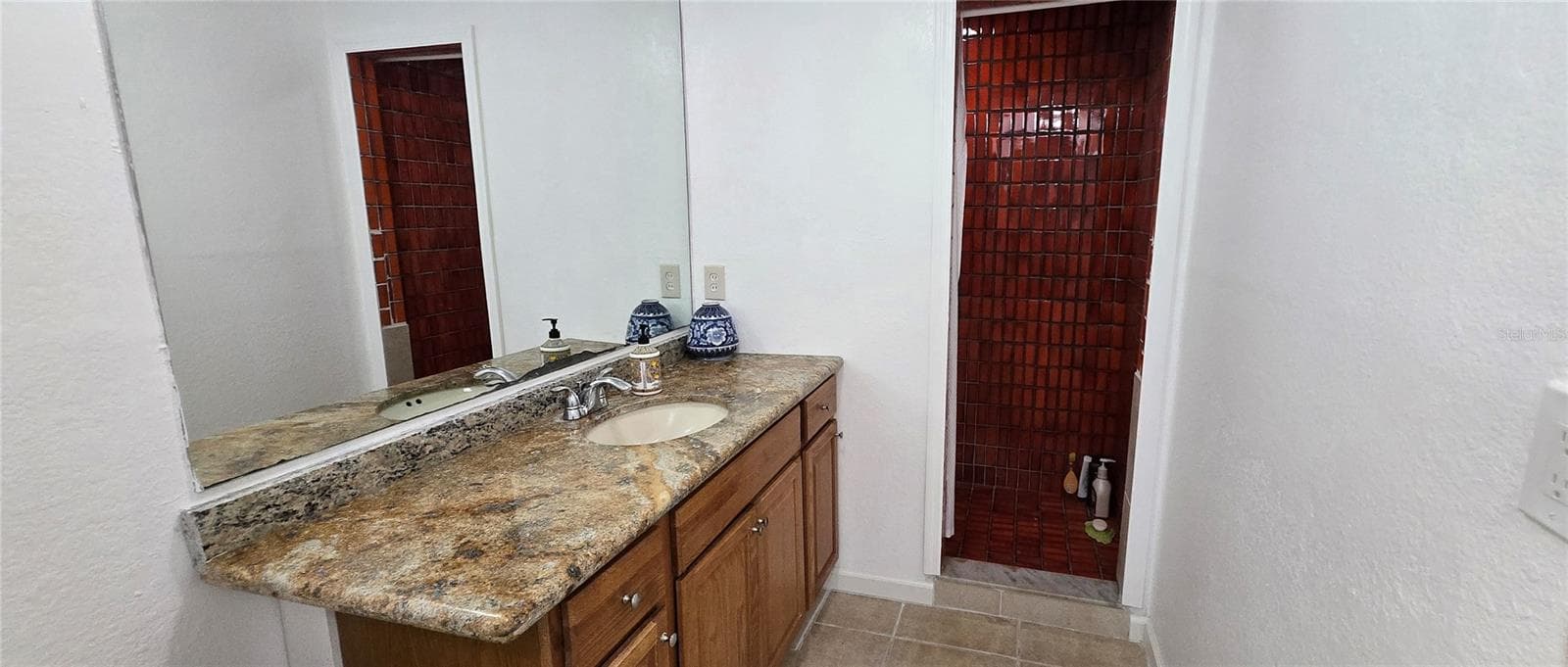 1st Bathroom with Shower - 8814 ROCKY CREEK DR, TAMPA