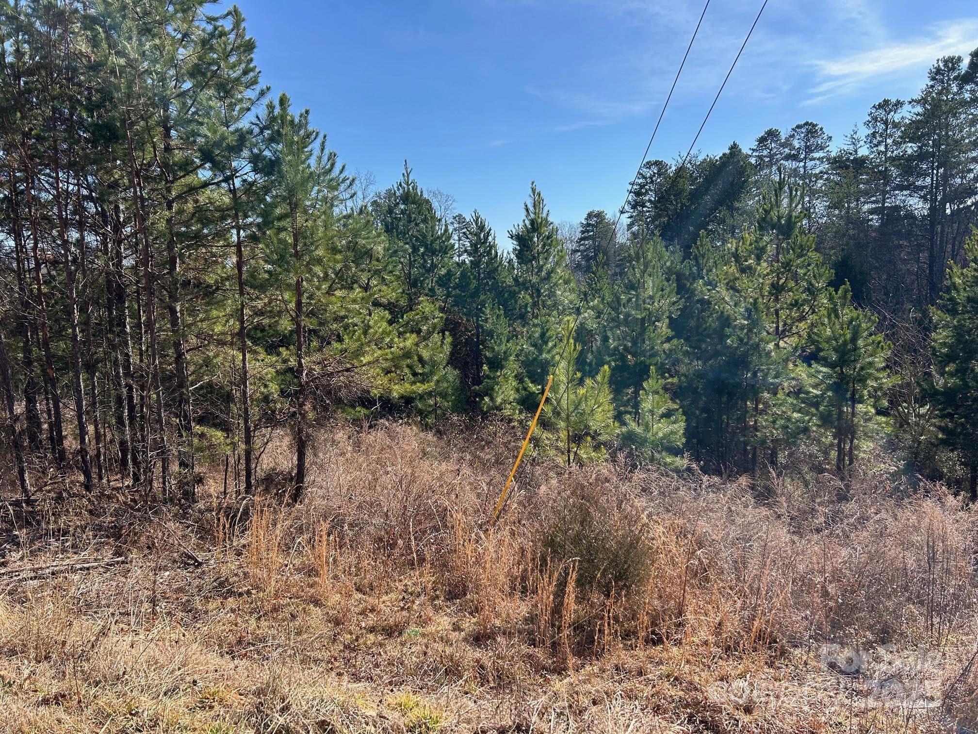 Acreage at Troutman, photo 2 of 4