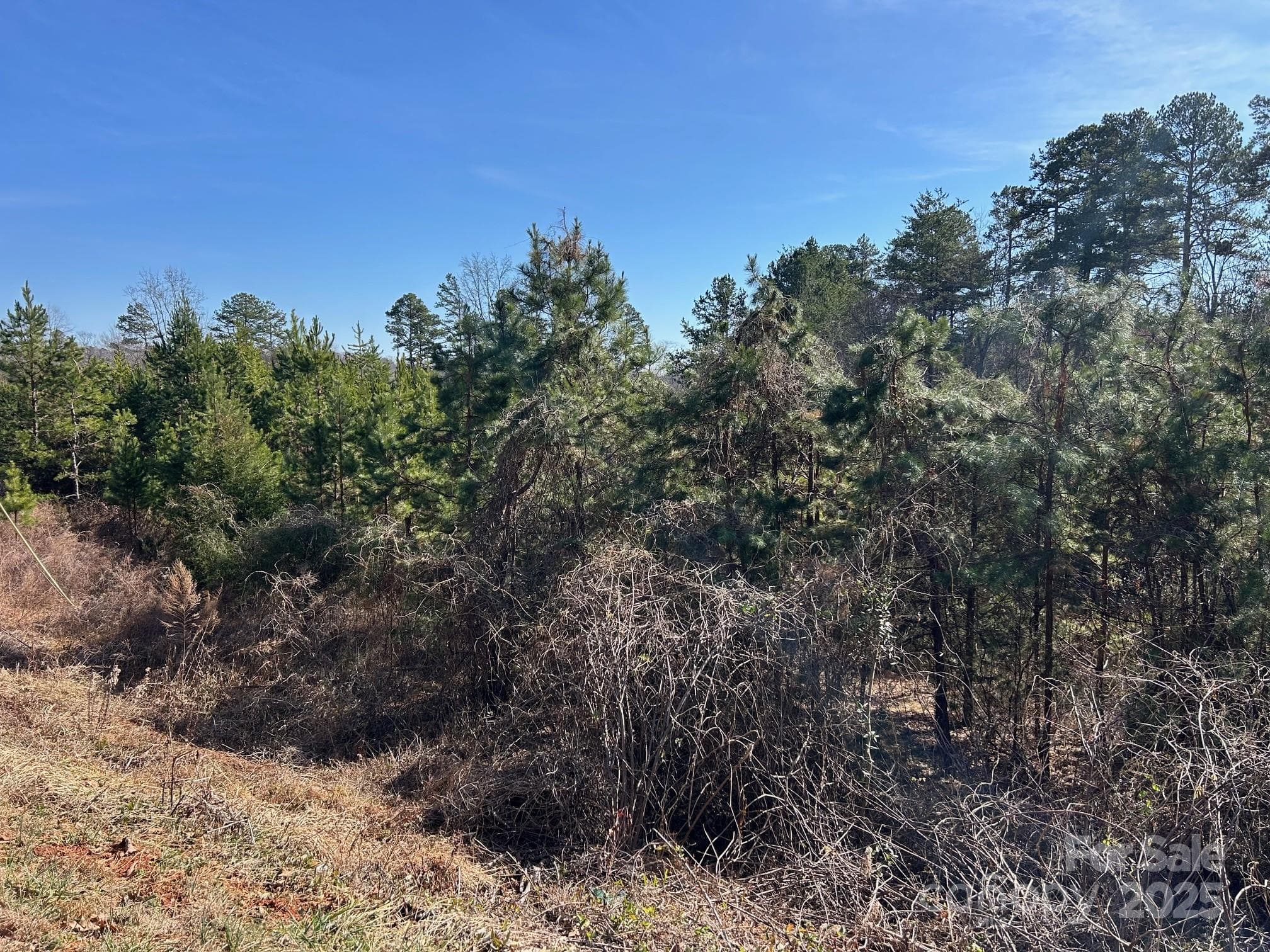 Acreage at Troutman, photo 3 of 4