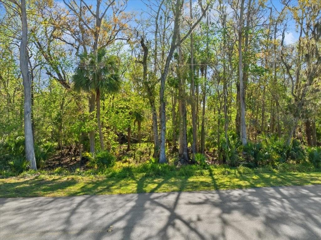138 BLARE DR