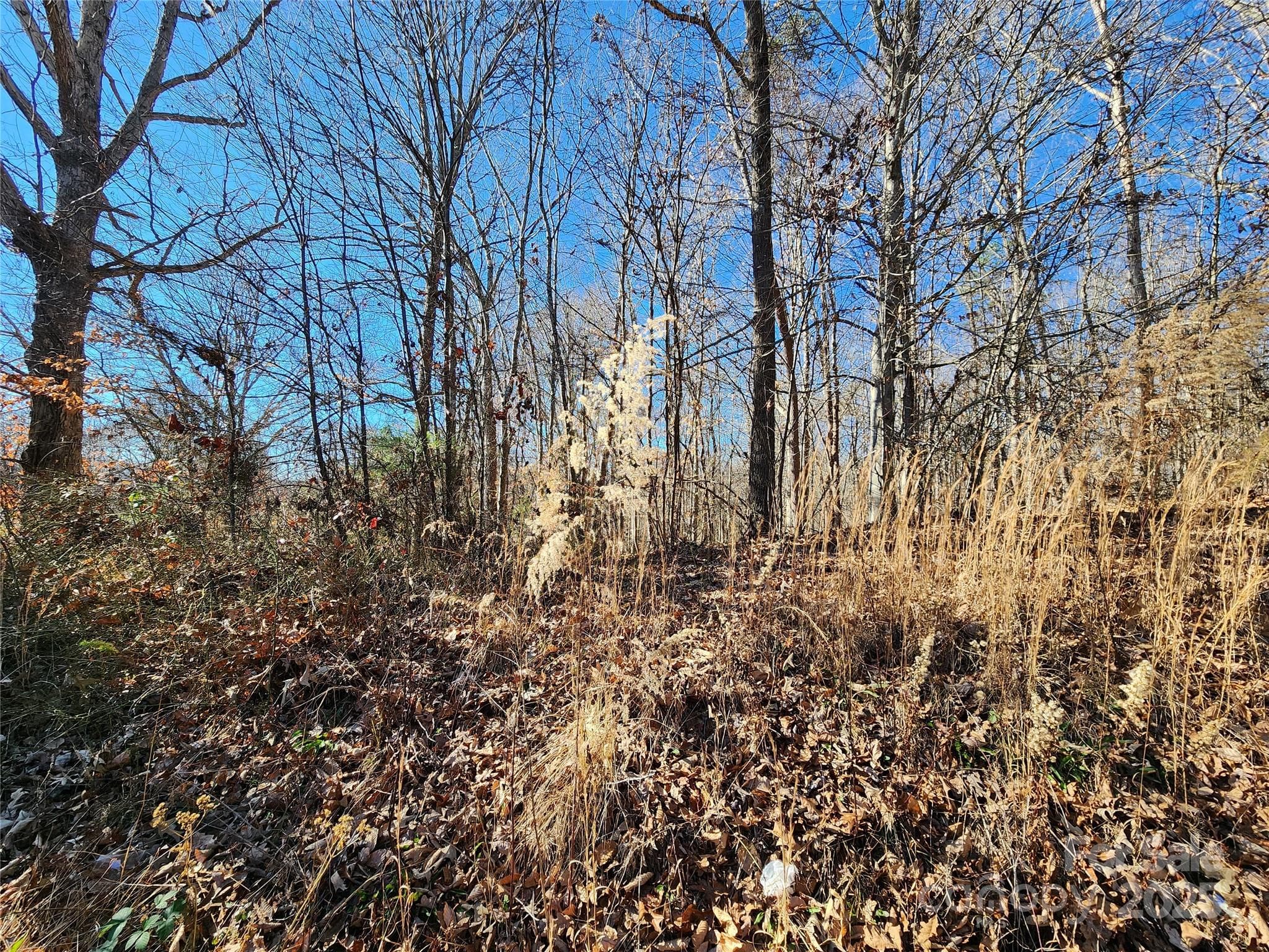 Lot at 501 Factory Street, Ronda, photo 2 of 4