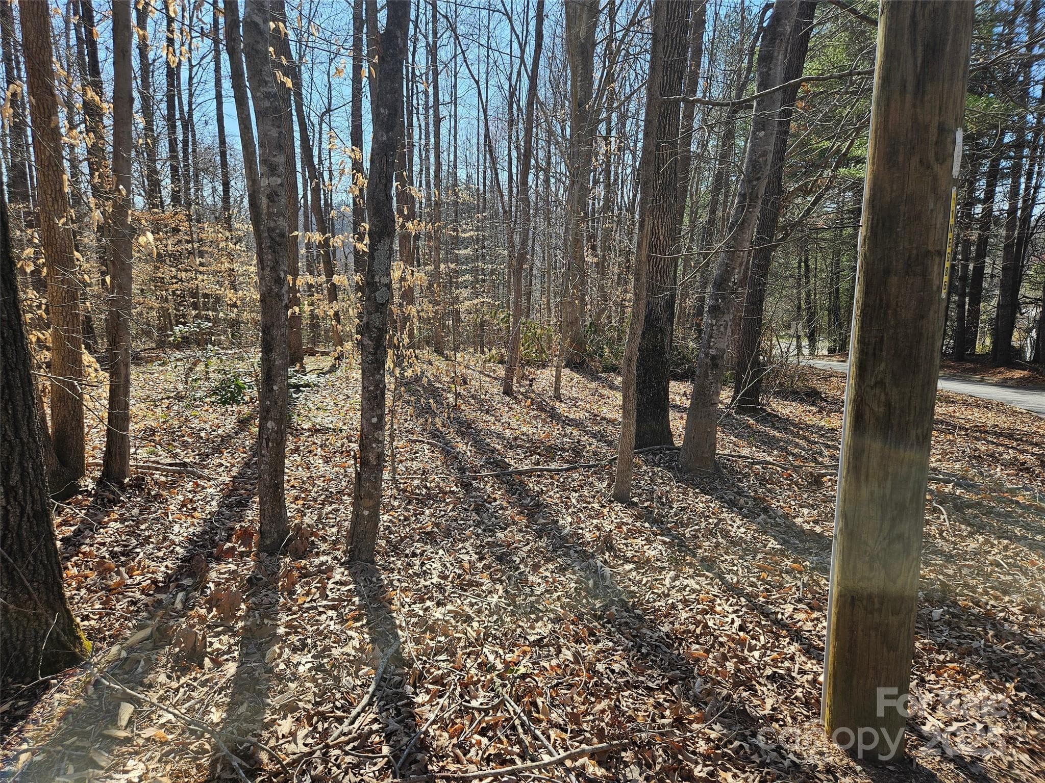 Lot at 0 General Griffith Circle, Rutherfordton, photo 2 of 15
