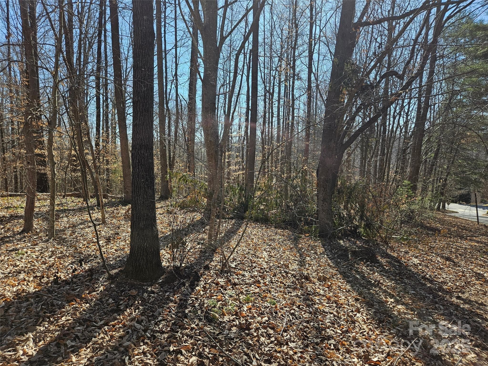 Lot at 0 General Griffith Circle, Rutherfordton, photo 3 of 15