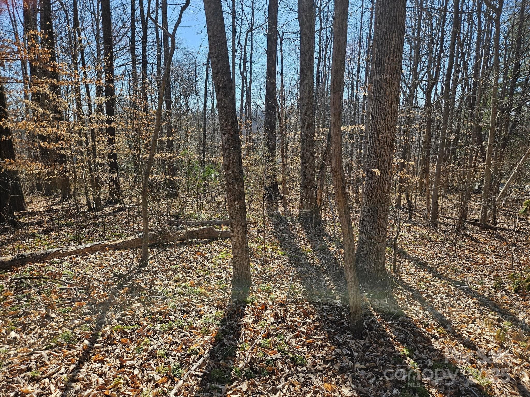 Lot at 0 General Griffith Circle, Rutherfordton, photo 4 of 15