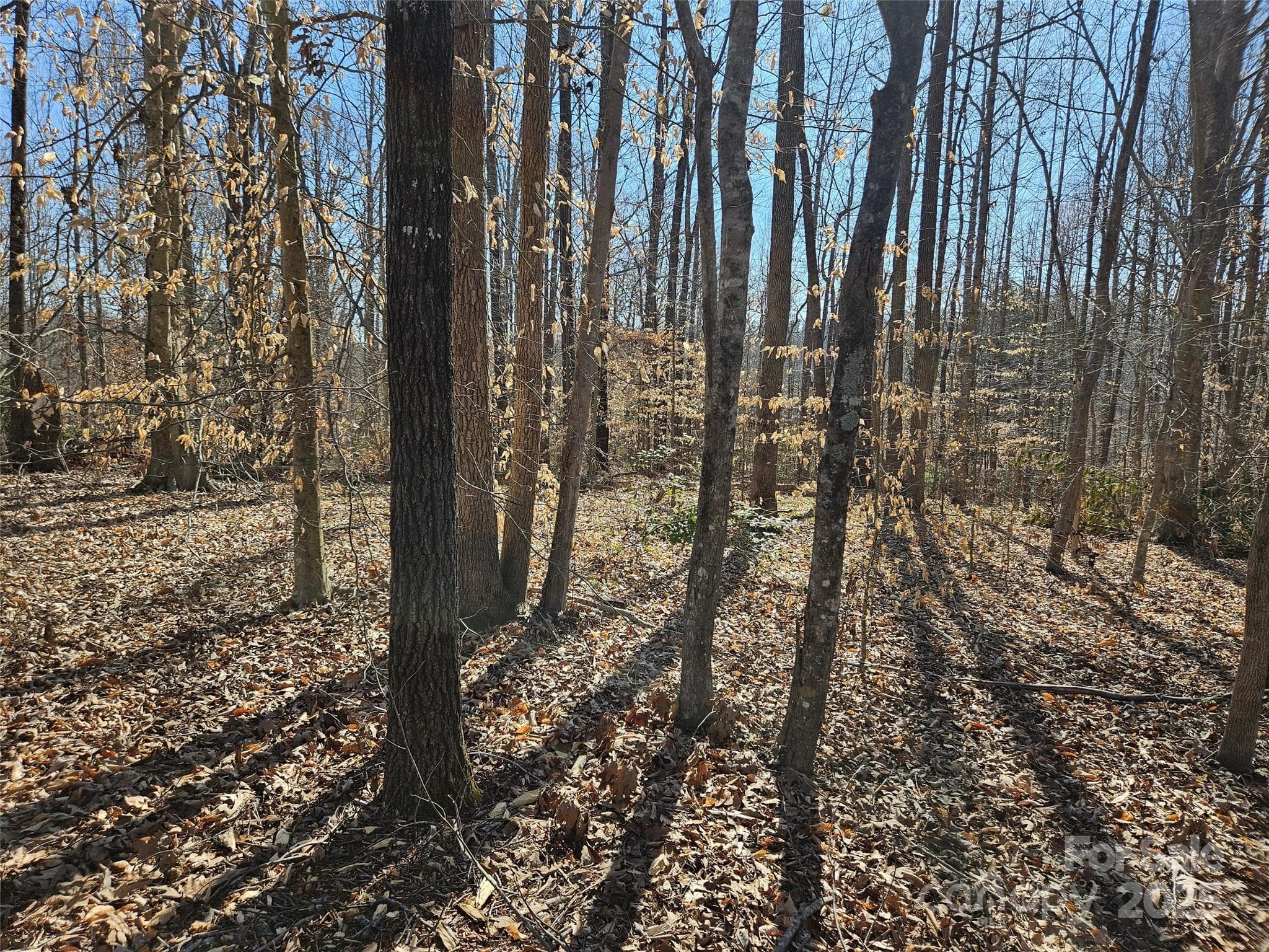 Lot at 0 General Griffith Circle, Rutherfordton, photo 7 of 15