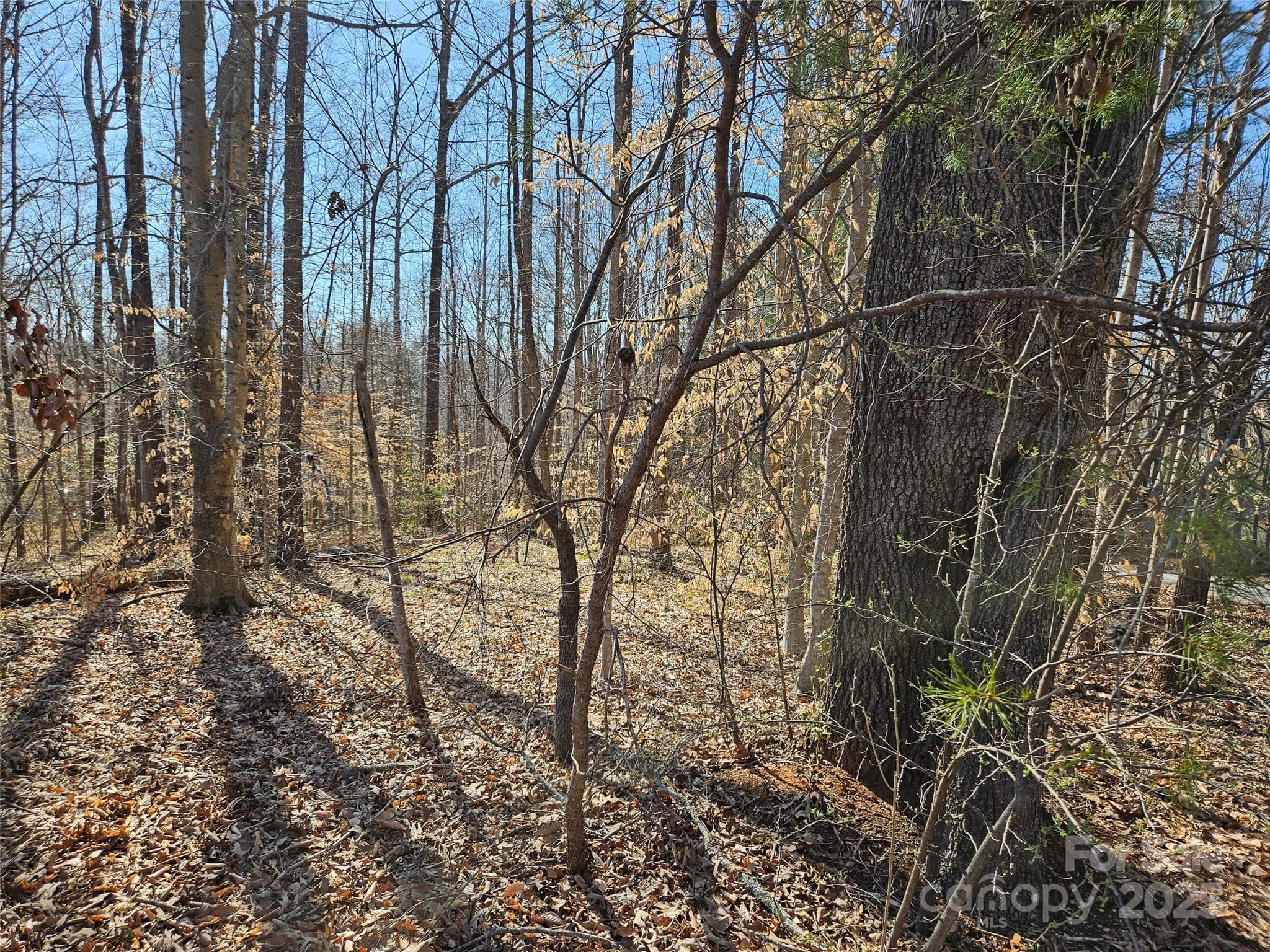 Lot at 0 General Griffith Circle, Rutherfordton, photo 8 of 15