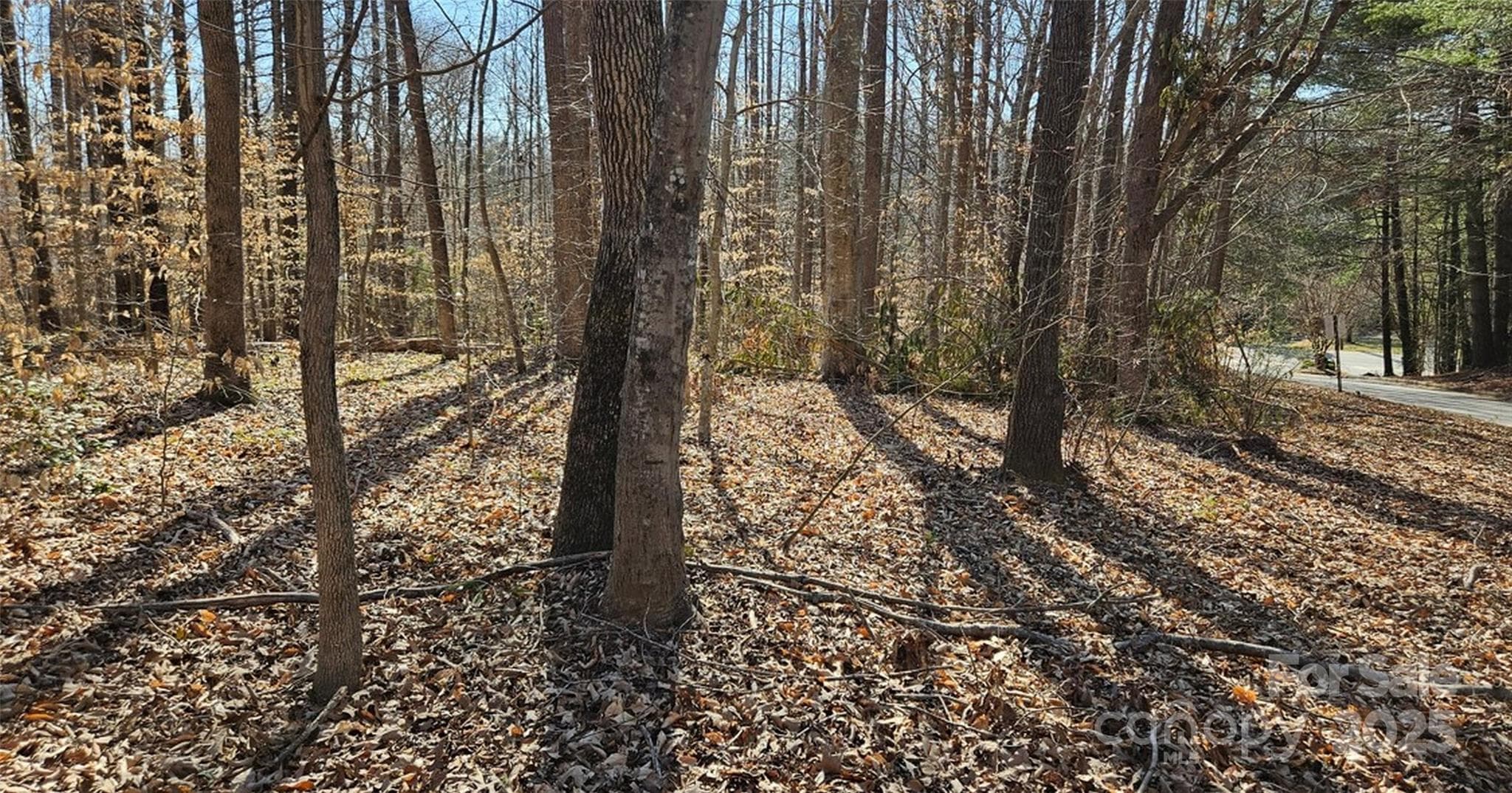 Lot at 0 General Griffith Circle, Rutherfordton, photo 10 of 15