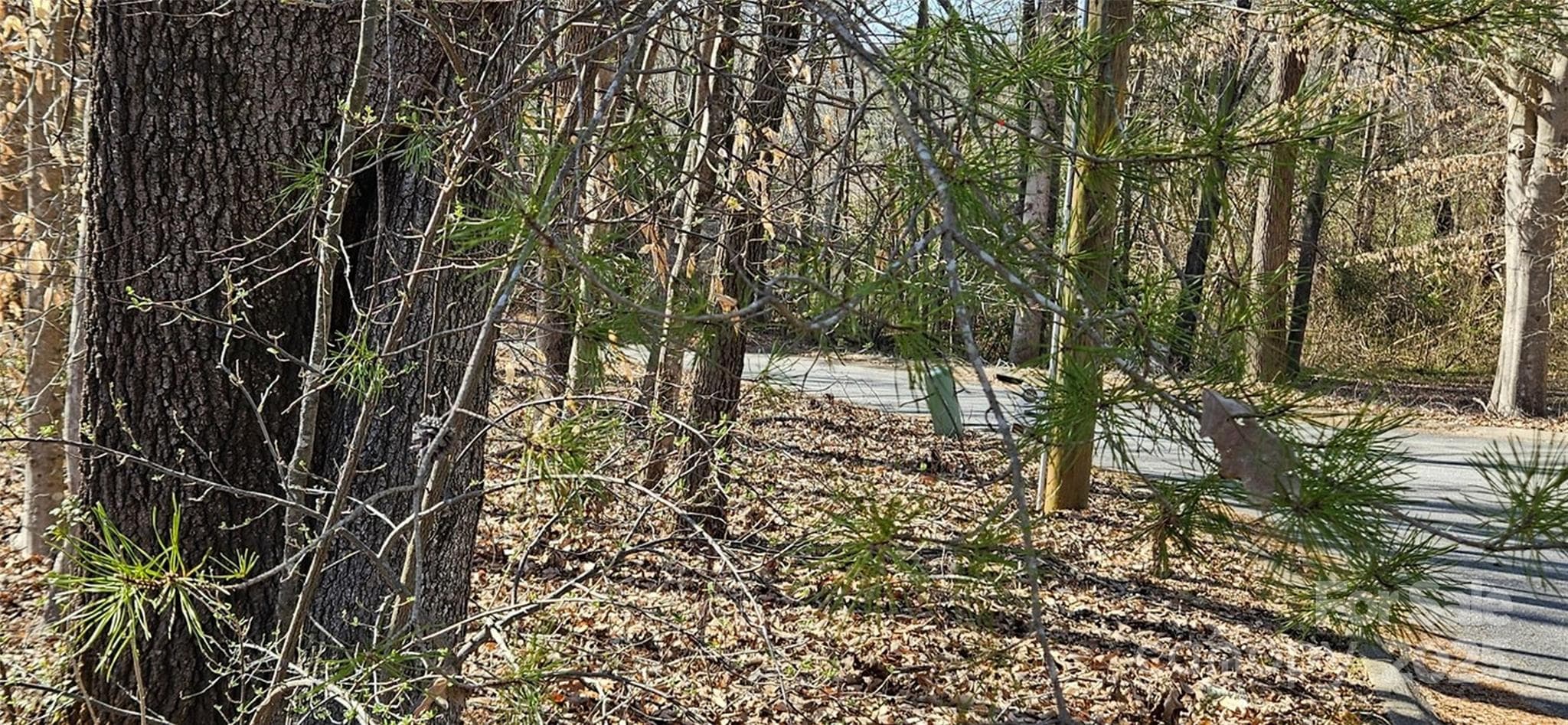 Lot at 0 General Griffith Circle, Rutherfordton, photo 11 of 15