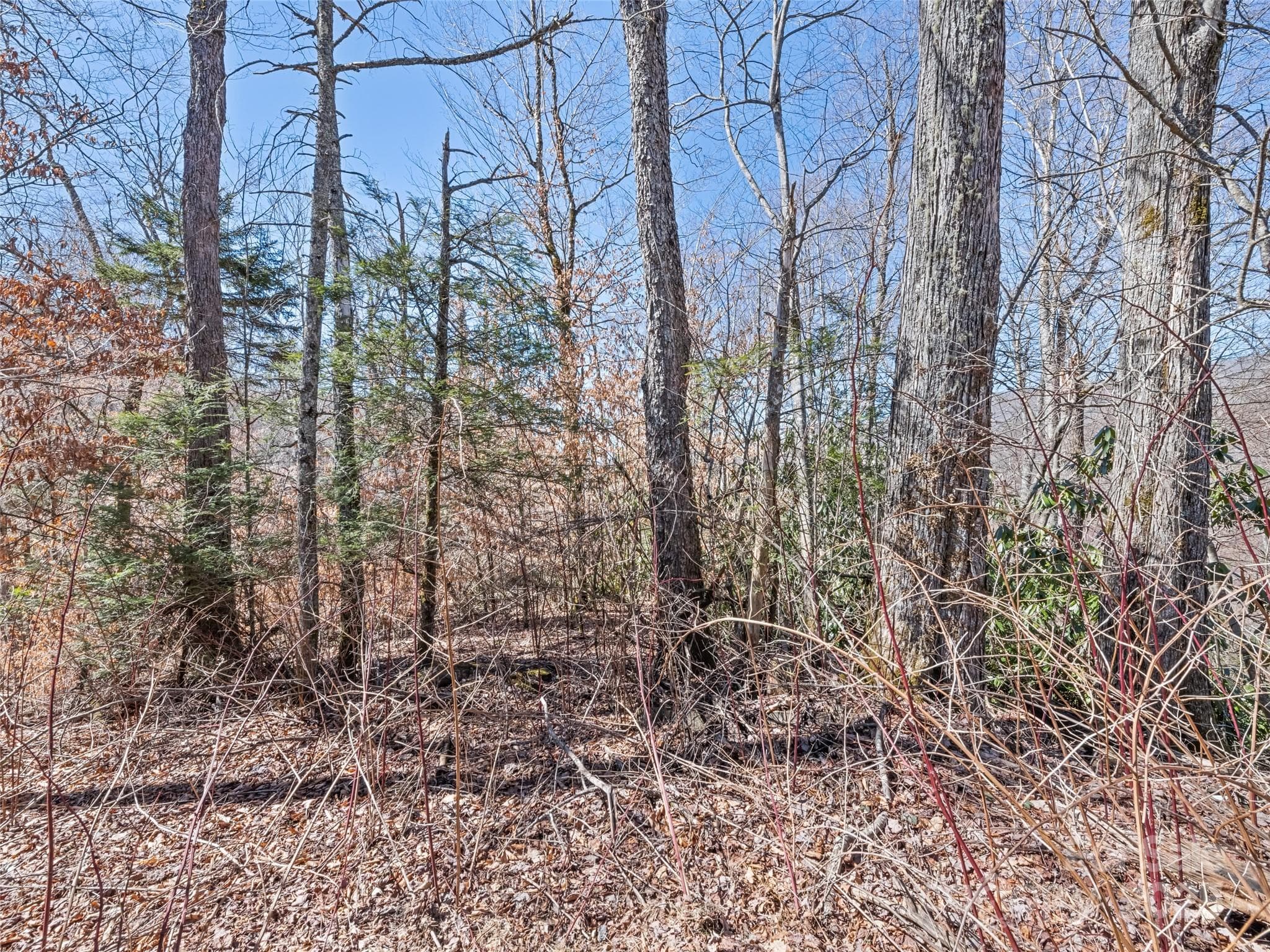 Lot at Maggie Valley, photo 10 of 13